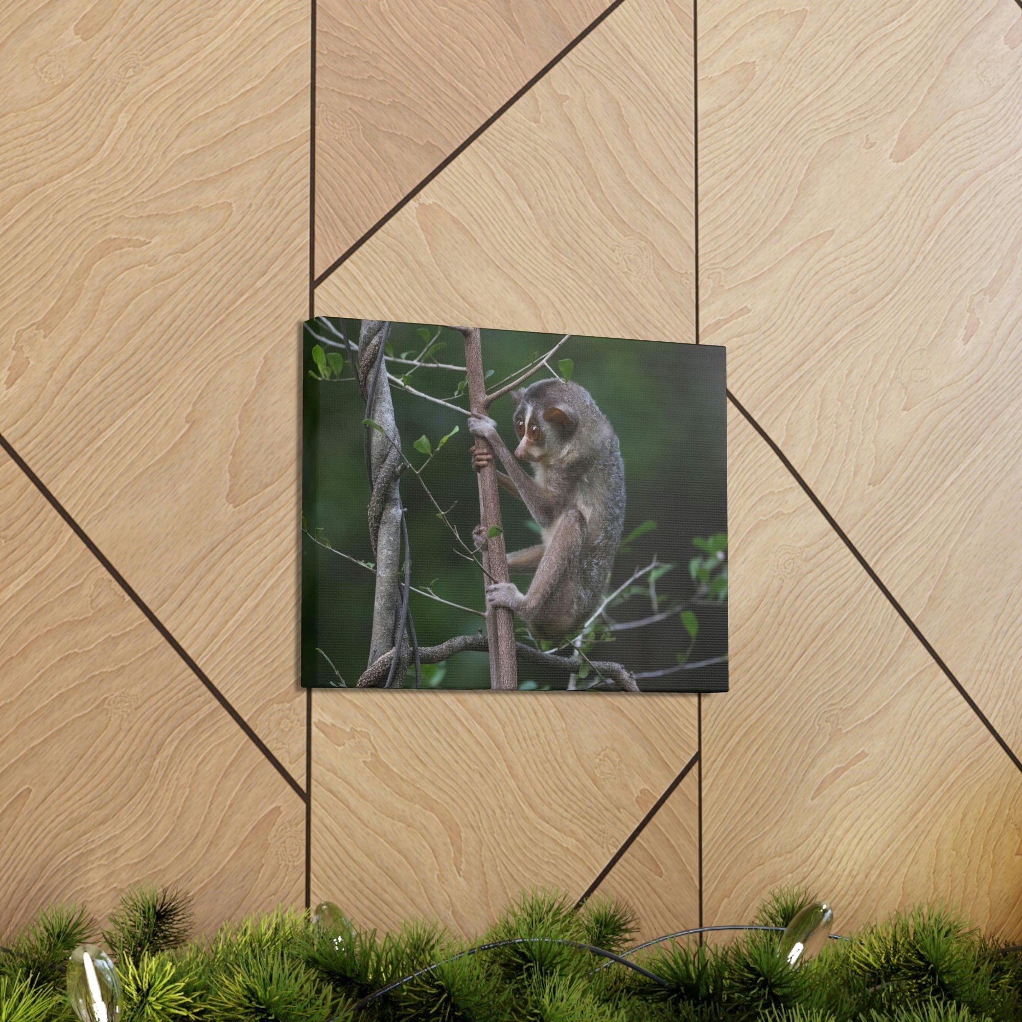 Scripture Walls Slender Loris Hunting Slender Loris on Hunt Print Animal Wall Art Wildlife Canvas Prints Wall Art Ready to Hang Unframed-Express Your Love Gifts