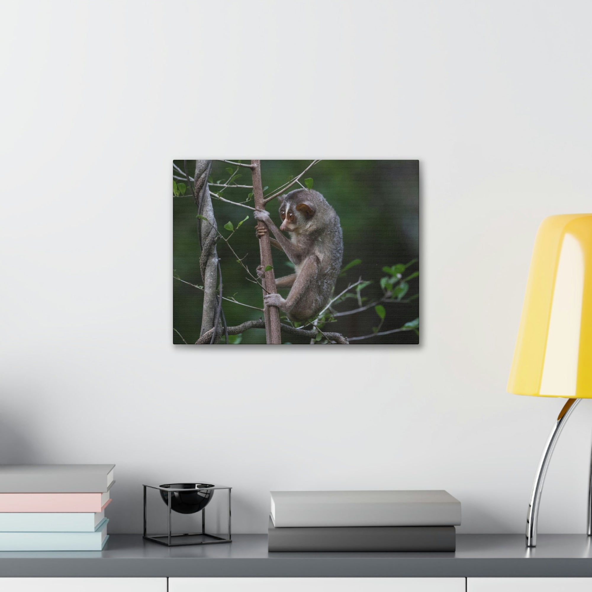 Scripture Walls Slender Loris Hunting Slender Loris on Hunt Print Animal Wall Art Wildlife Canvas Prints Wall Art Ready to Hang Unframed-Express Your Love Gifts