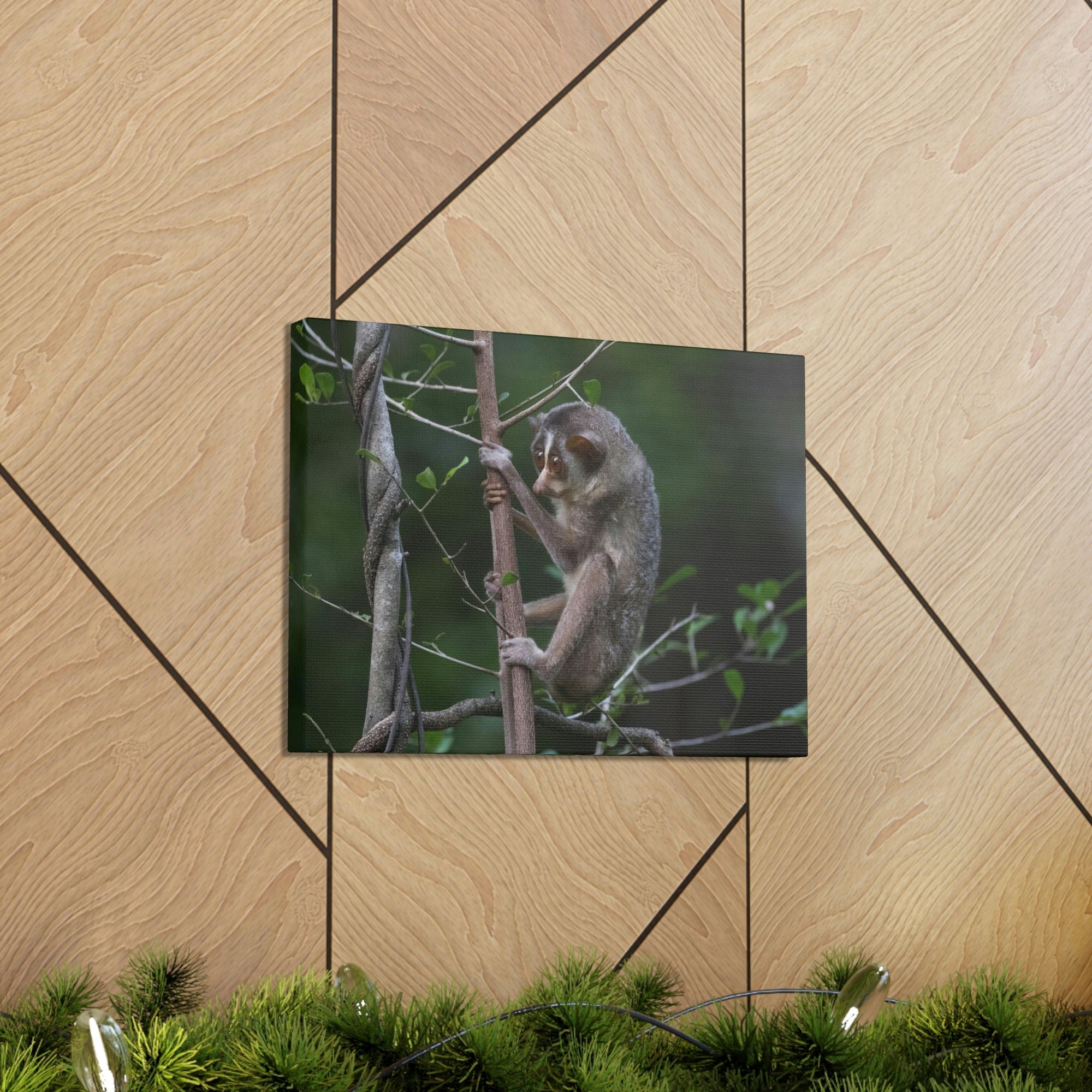 Scripture Walls Slender Loris Hunting Slender Loris on Hunt Print Animal Wall Art Wildlife Canvas Prints Wall Art Ready to Hang Unframed-Express Your Love Gifts