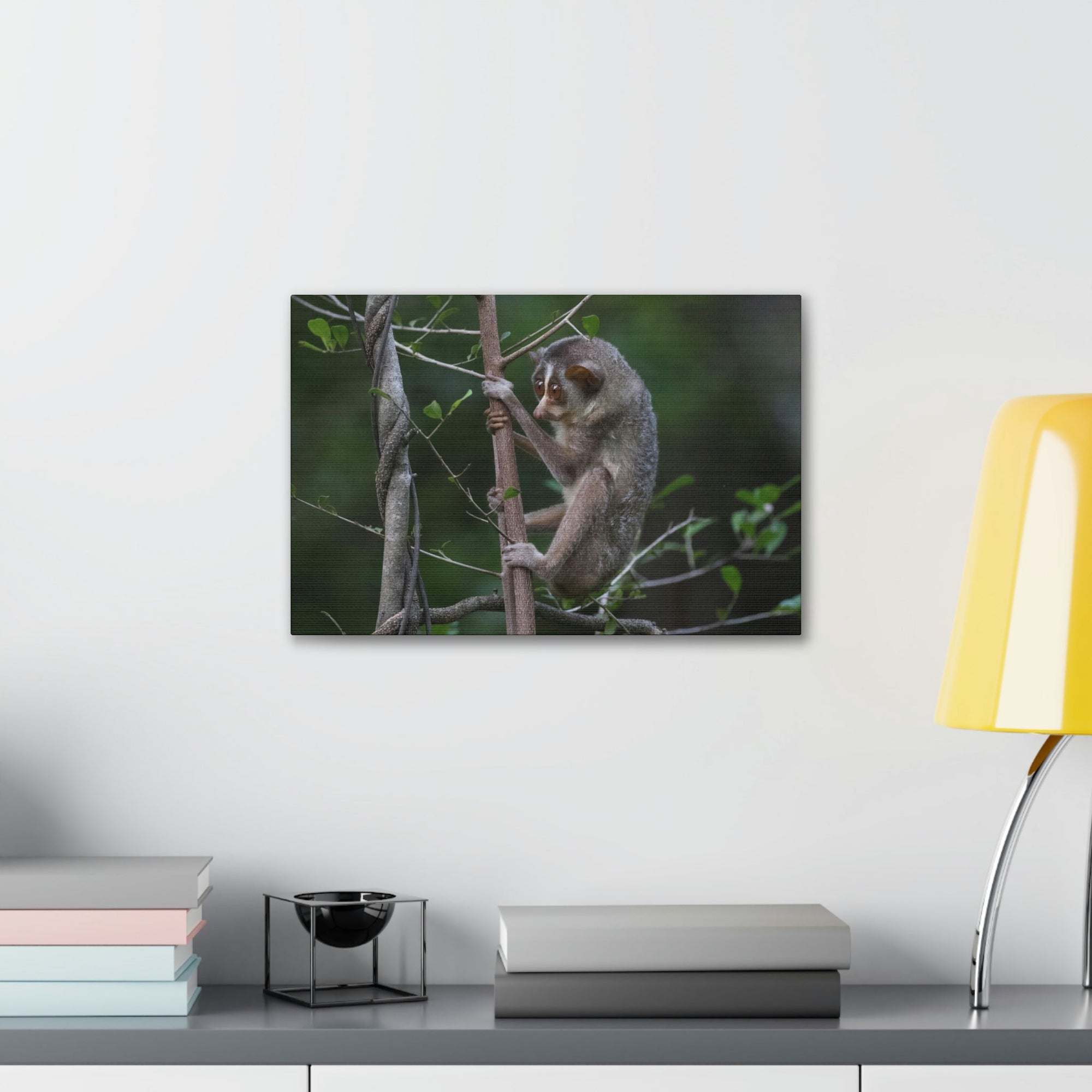 Scripture Walls Slender Loris Hunting Slender Loris on Hunt Print Animal Wall Art Wildlife Canvas Prints Wall Art Ready to Hang Unframed-Express Your Love Gifts