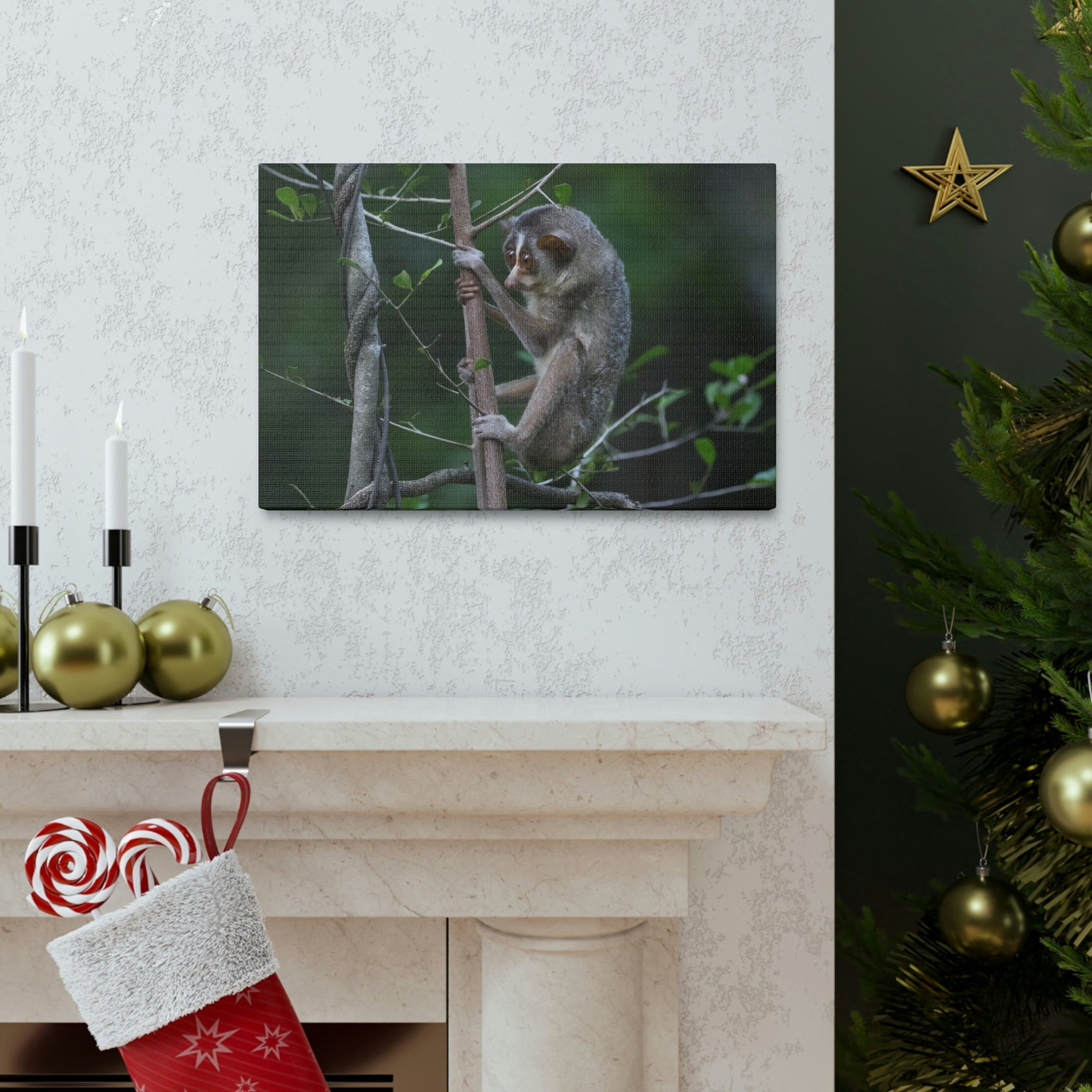 Scripture Walls Slender Loris Hunting Slender Loris on Hunt Print Animal Wall Art Wildlife Canvas Prints Wall Art Ready to Hang Unframed-Express Your Love Gifts