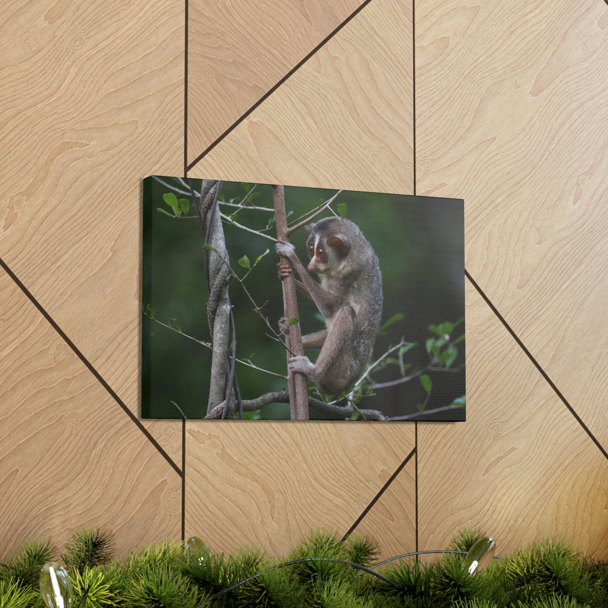 Scripture Walls Slender Loris Hunting Slender Loris on Hunt Print Animal Wall Art Wildlife Canvas Prints Wall Art Ready to Hang Unframed-Express Your Love Gifts