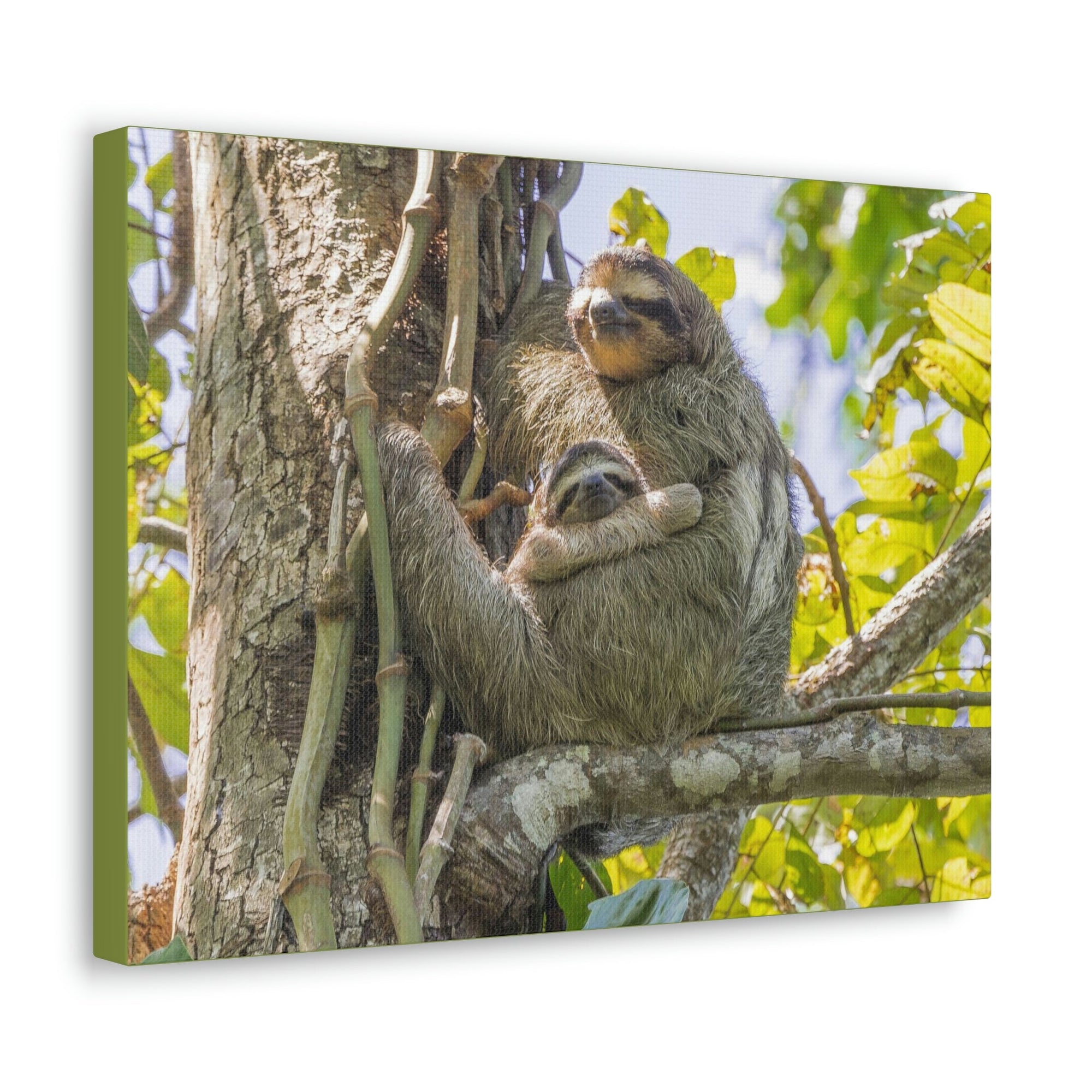 Scripture Walls Sloth Group Sloth Troop Print Animal Wall Art Wildlife Canvas Prints Wall Art Ready to Hang Unframed-Express Your Love Gifts