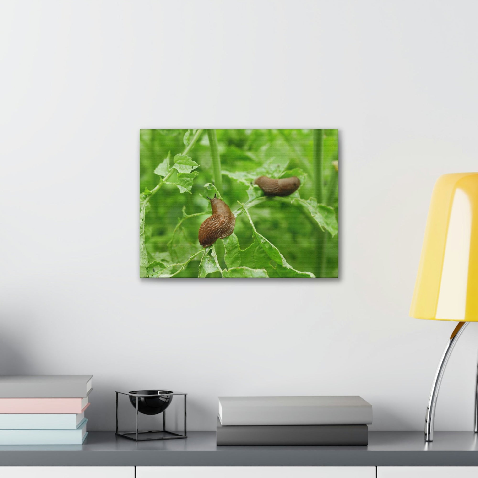 Scripture Walls Slug Couple Slug Couple Print Animal Wall Art Wildlife Canvas Prints Wall Art Ready to Hang Unframed-Express Your Love Gifts