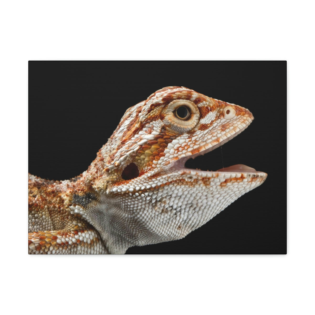 Scripture Walls Smiling Bearded Dragon Baby Close Up Print Animal Wall Art Wildlife Canvas Prints Wall Art Ready to Hang Unframed-Express Your Love Gifts