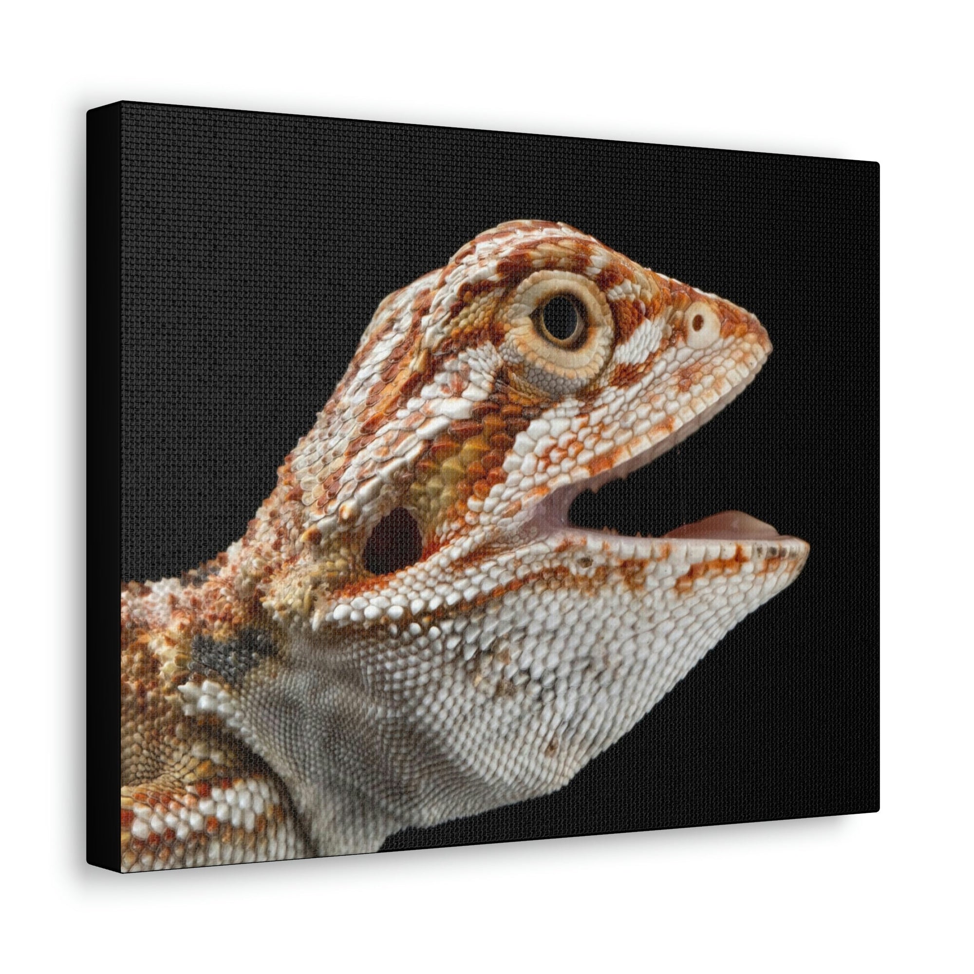 Scripture Walls Smiling Bearded Dragon Baby Close Up Print Animal Wall Art Wildlife Canvas Prints Wall Art Ready to Hang Unframed-Express Your Love Gifts