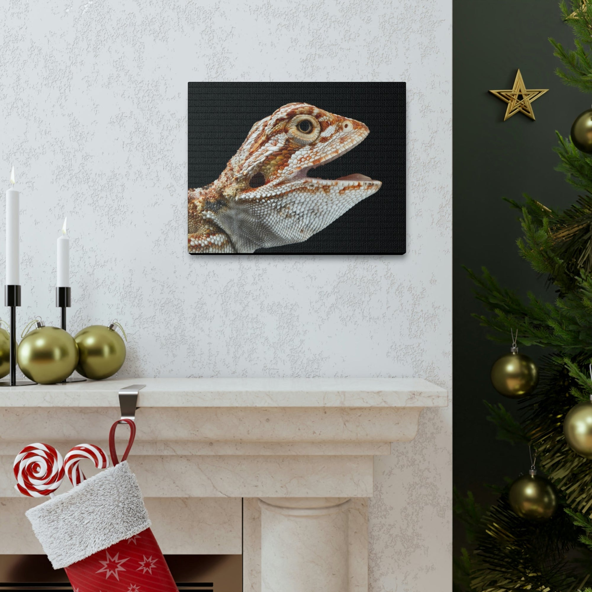 Scripture Walls Smiling Bearded Dragon Baby Close Up Print Animal Wall Art Wildlife Canvas Prints Wall Art Ready to Hang Unframed-Express Your Love Gifts