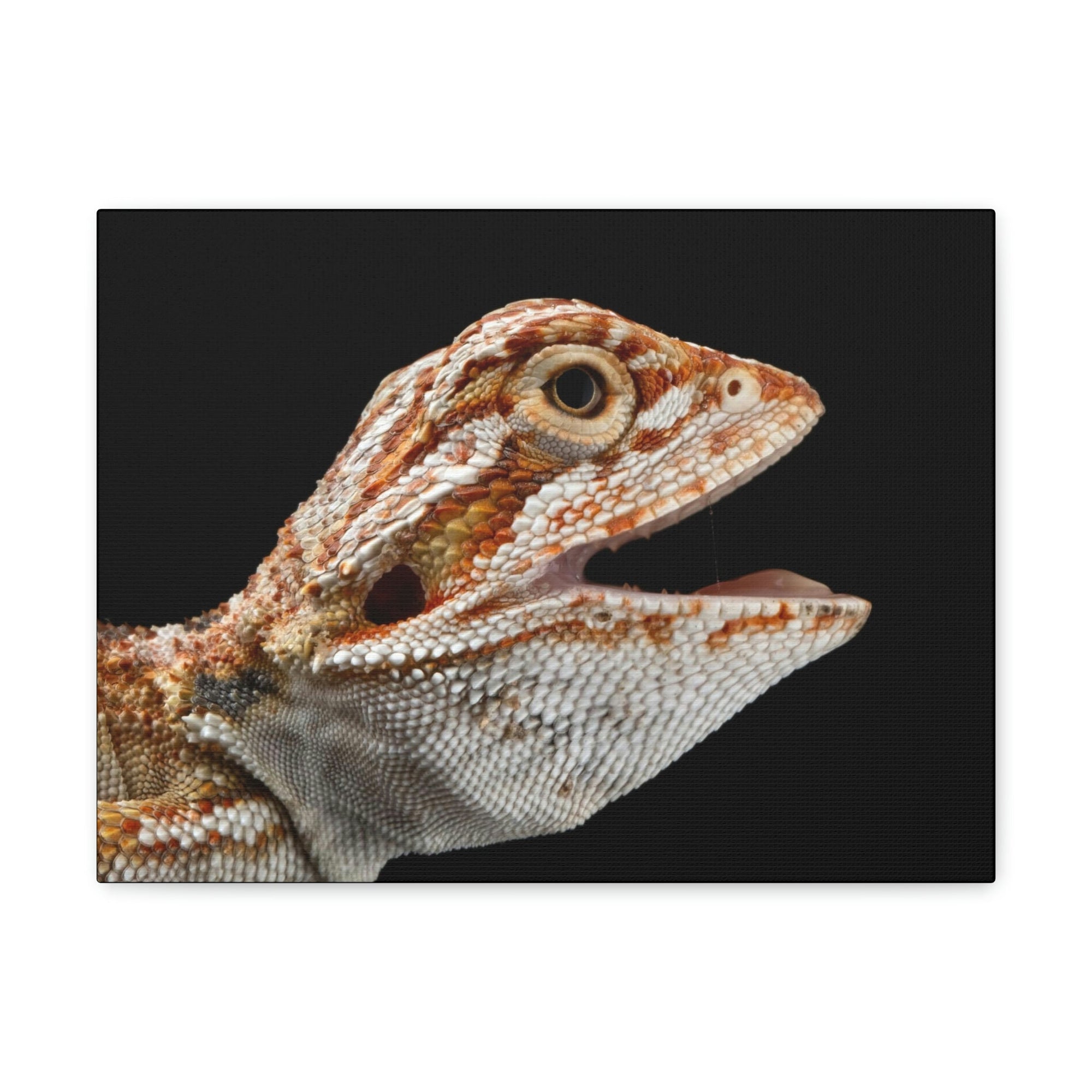 Scripture Walls Smiling Bearded Dragon Baby Close Up Print Animal Wall Art Wildlife Canvas Prints Wall Art Ready to Hang Unframed-Express Your Love Gifts