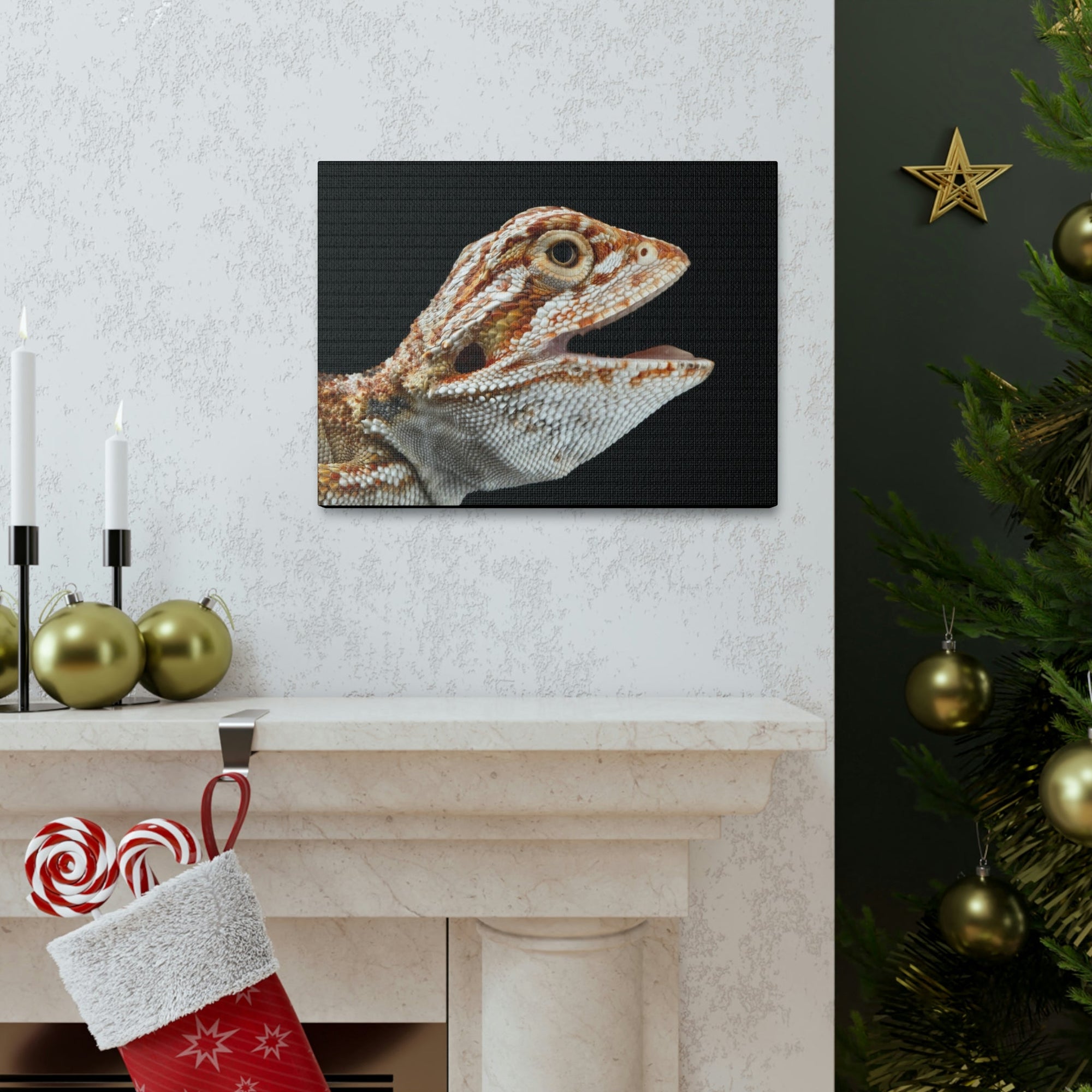 Scripture Walls Smiling Bearded Dragon Baby Close Up Print Animal Wall Art Wildlife Canvas Prints Wall Art Ready to Hang Unframed-Express Your Love Gifts