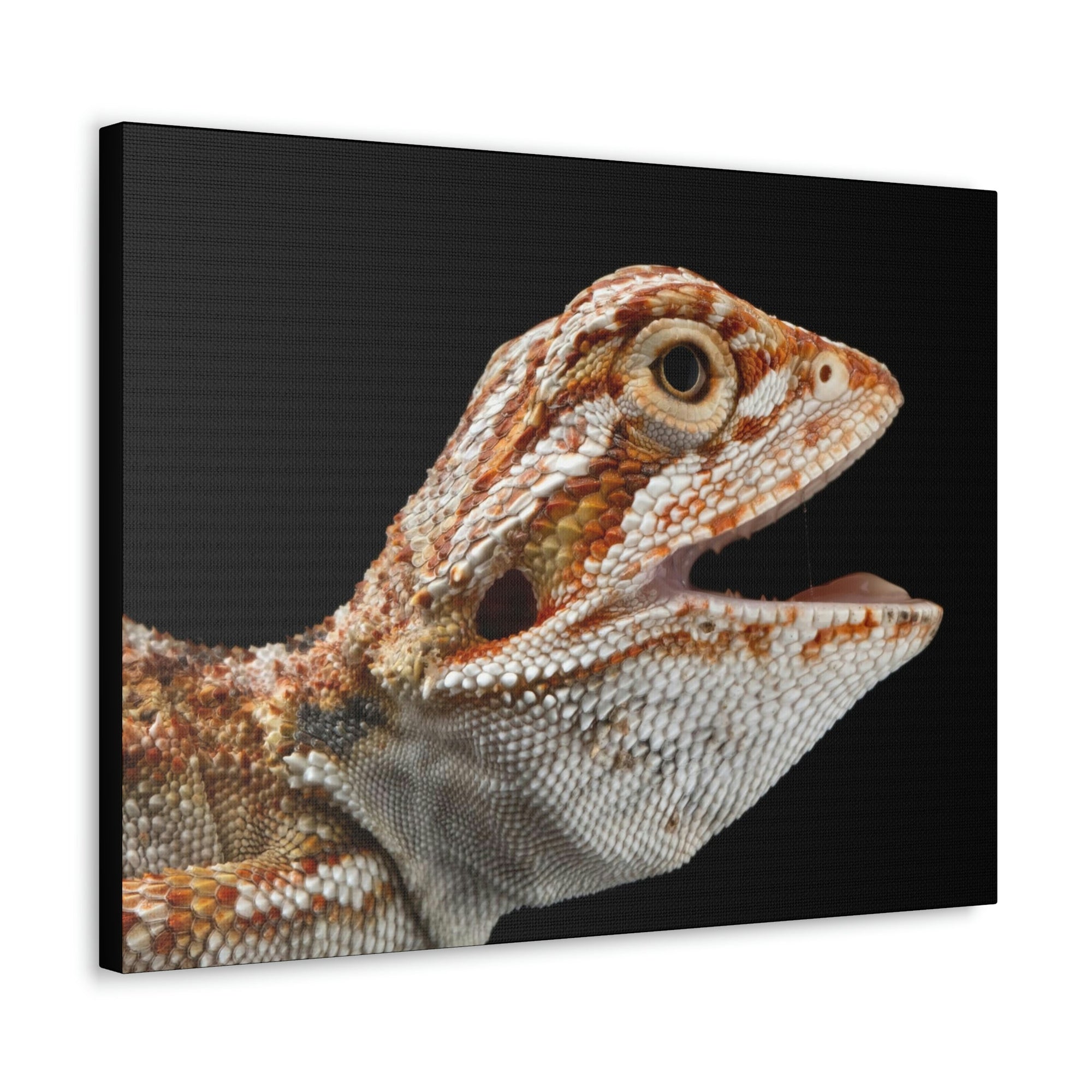 Scripture Walls Smiling Bearded Dragon Baby Close Up Print Animal Wall Art Wildlife Canvas Prints Wall Art Ready to Hang Unframed-Express Your Love Gifts