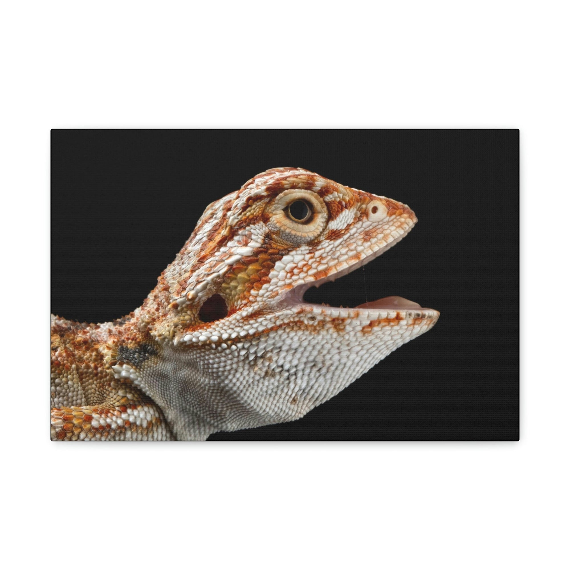 Scripture Walls Smiling Bearded Dragon Baby Close Up Print Animal Wall Art Wildlife Canvas Prints Wall Art Ready to Hang Unframed-Express Your Love Gifts