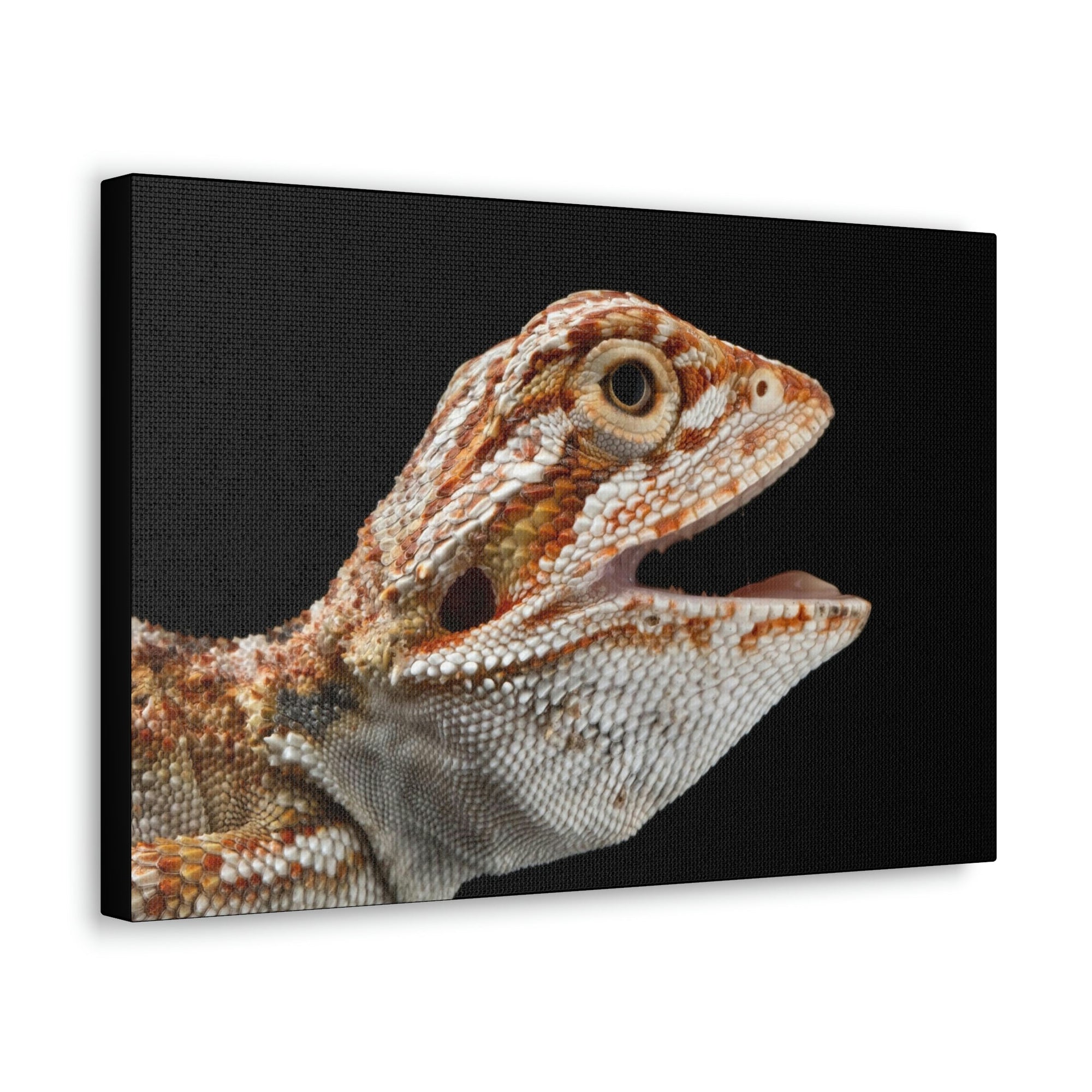 Scripture Walls Smiling Bearded Dragon Baby Close Up Print Animal Wall Art Wildlife Canvas Prints Wall Art Ready to Hang Unframed-Express Your Love Gifts