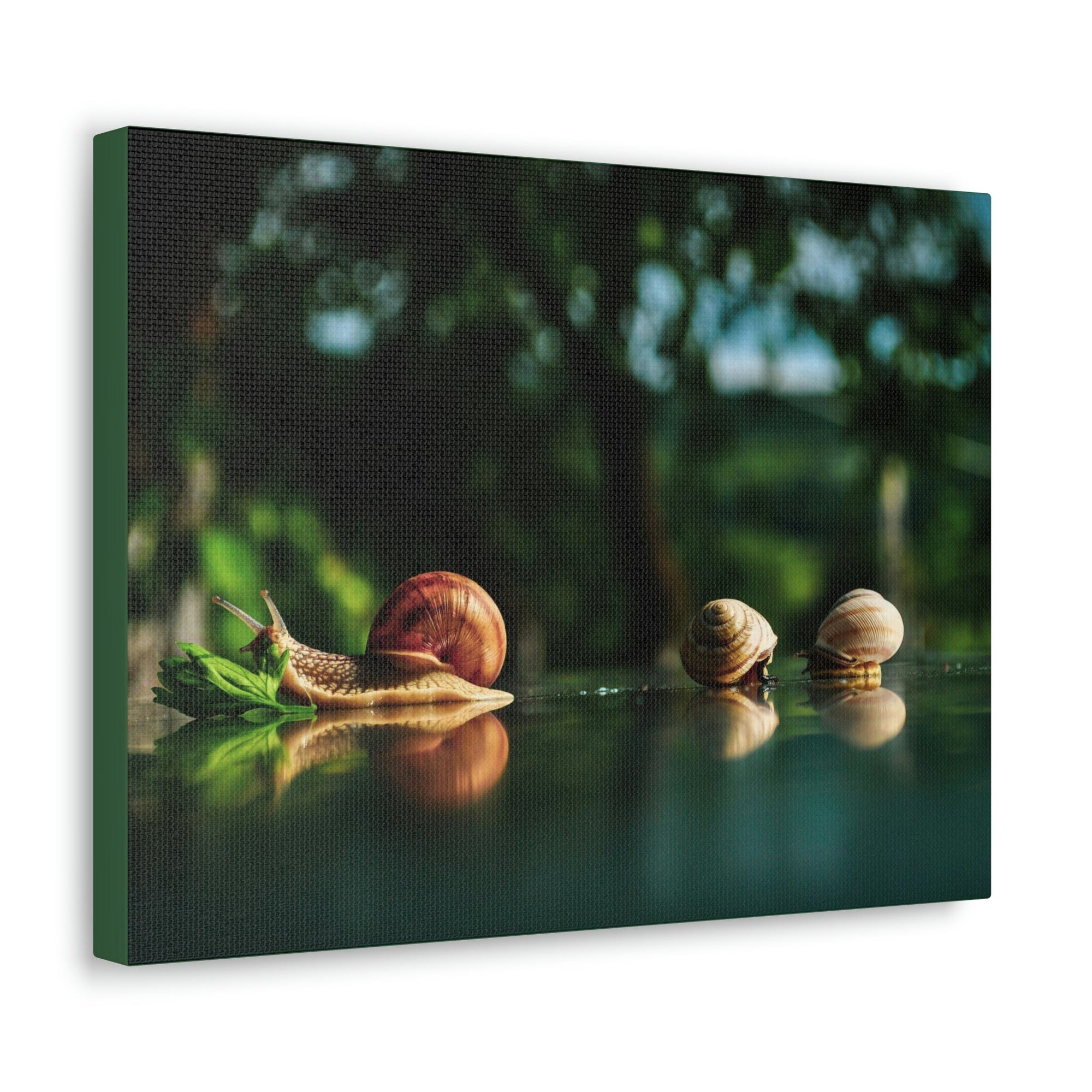 Scripture Walls Snails Group Snails Troop Print Animal Wall Art Wildlife Canvas Prints Wall Art Ready to Hang Unframed-Express Your Love Gifts