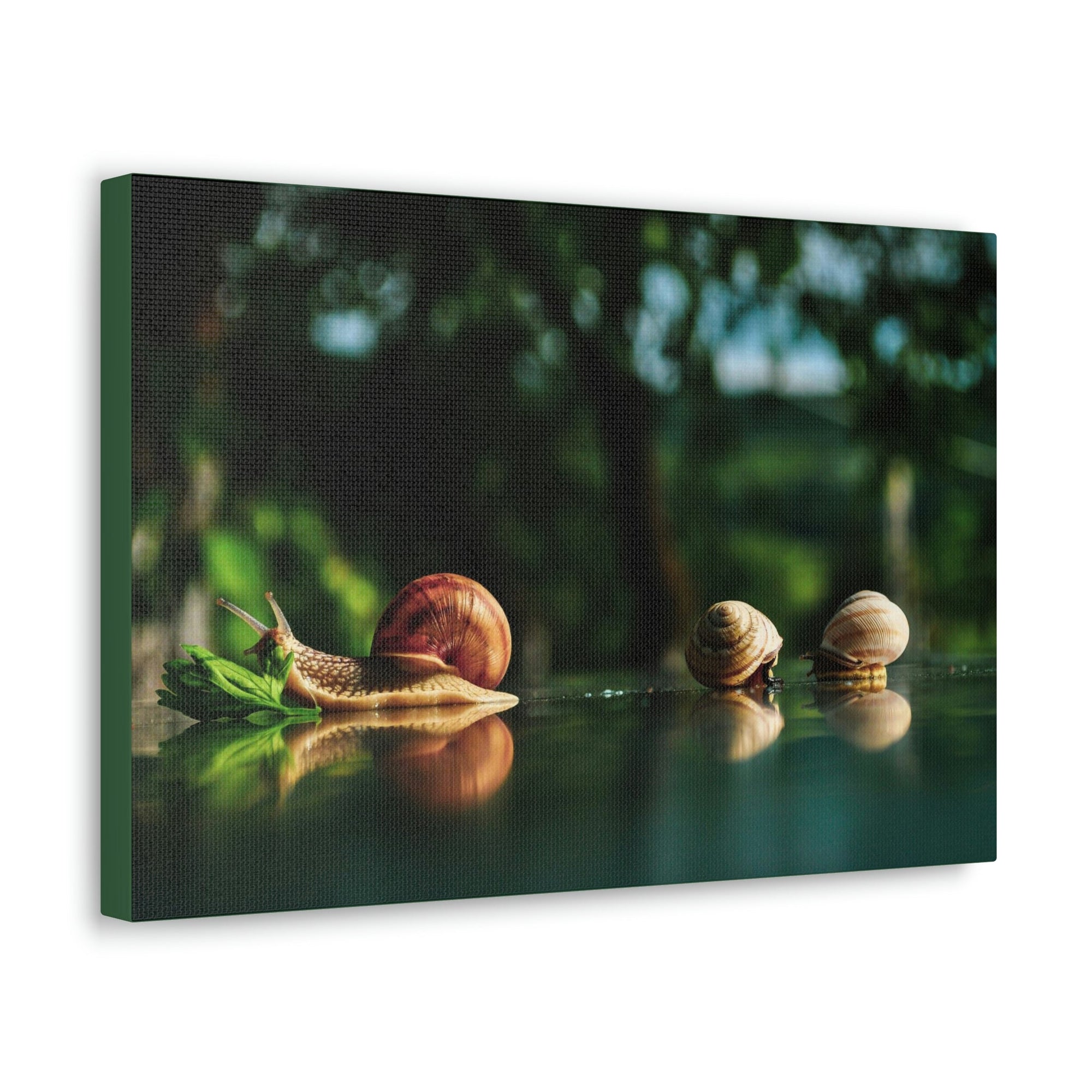 Scripture Walls Snails Group Snails Troop Print Animal Wall Art Wildlife Canvas Prints Wall Art Ready to Hang Unframed-Express Your Love Gifts