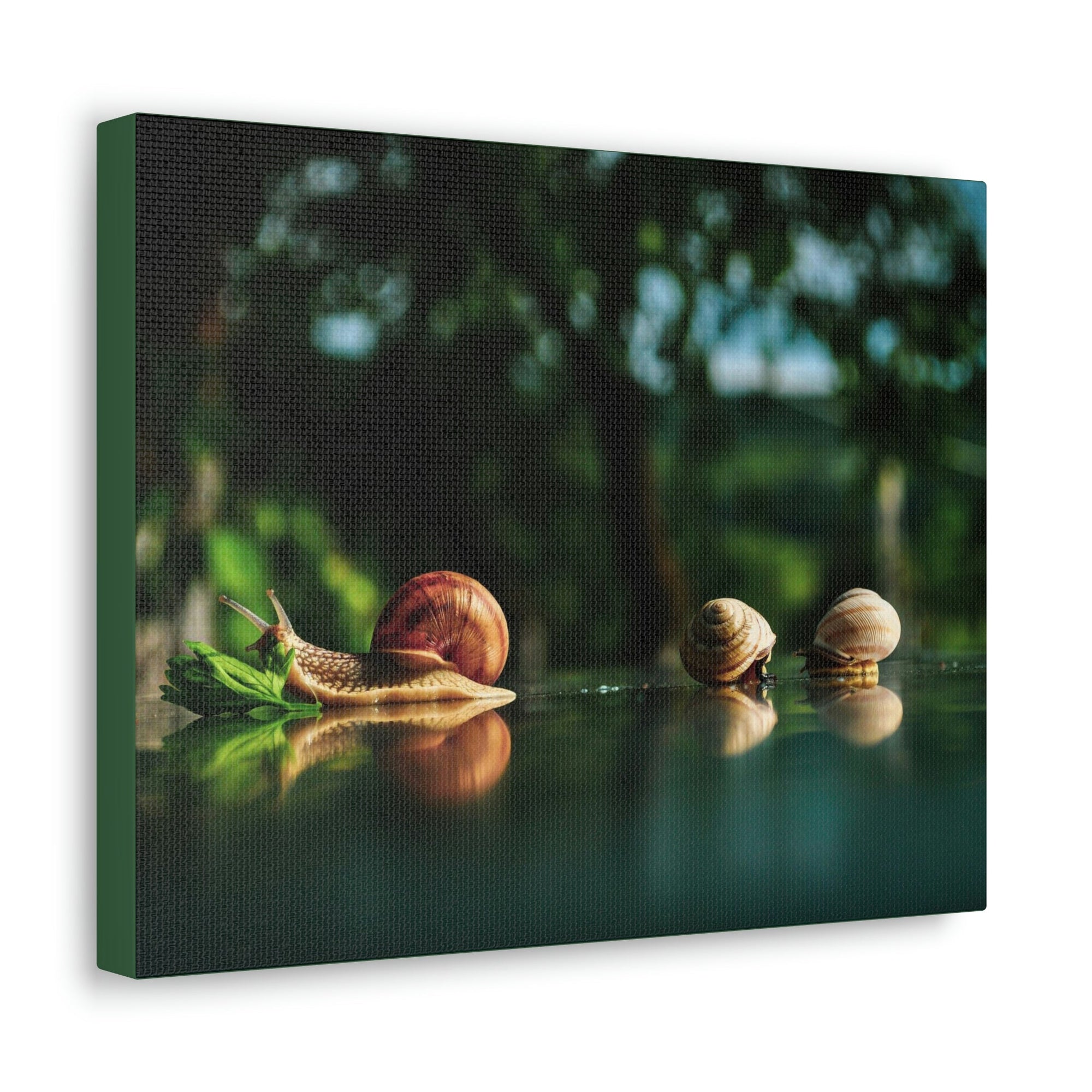 Scripture Walls Snails Group Snails Troop Print Animal Wall Art Wildlife Canvas Prints Wall Art Ready to Hang Unframed-Express Your Love Gifts