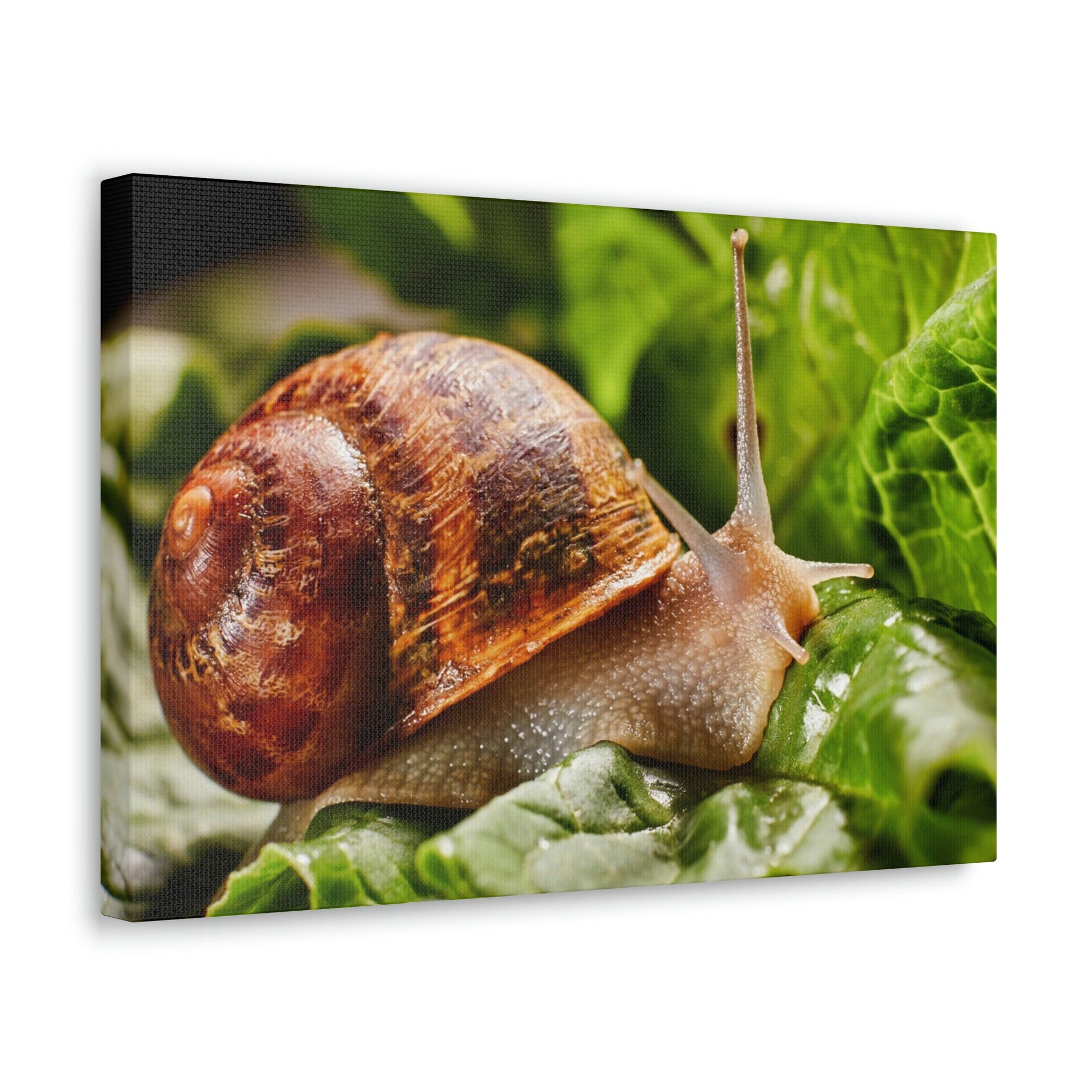 Scripture Walls Snails Hunting Snails on Hunt Print Animal Wall Art Wildlife Canvas Prints Wall Art Ready to Hang Unframed-Express Your Love Gifts