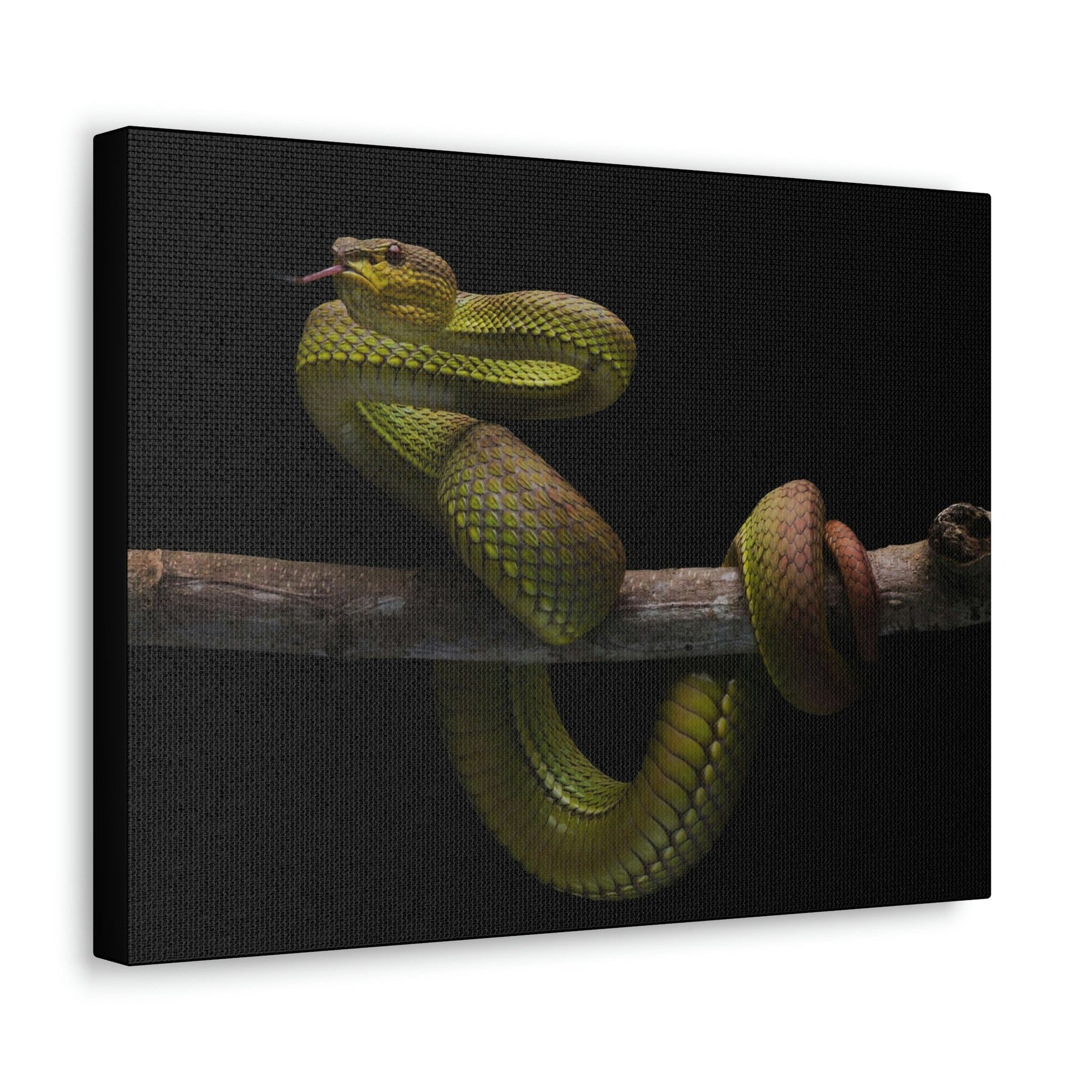 Scripture Walls Snake Hunting Snake on Hunt Print Animal Wall Art Wildlife Canvas Prints Wall Art Ready to Hang Unframed-Express Your Love Gifts