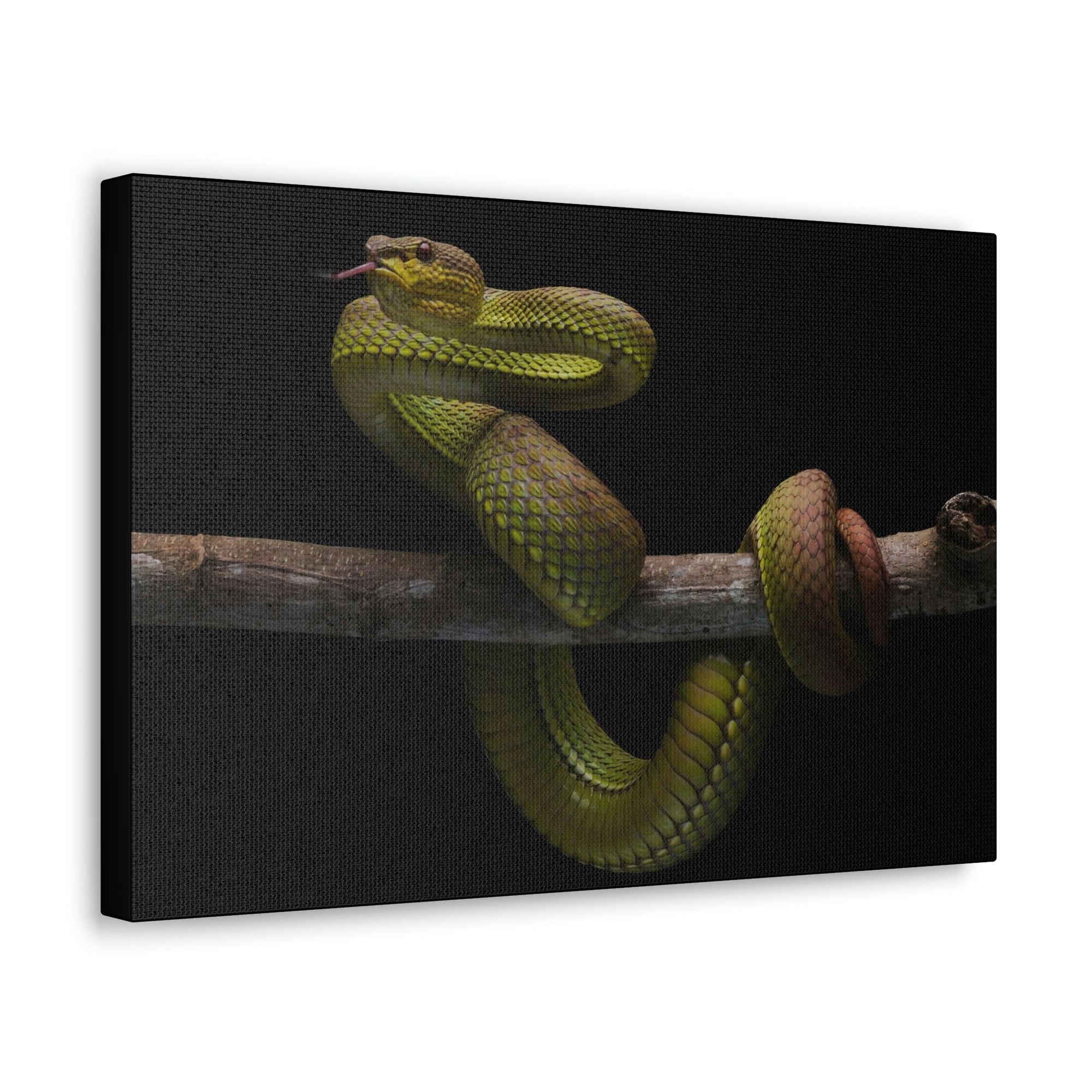 Scripture Walls Snake Hunting Snake on Hunt Print Animal Wall Art Wildlife Canvas Prints Wall Art Ready to Hang Unframed-Express Your Love Gifts