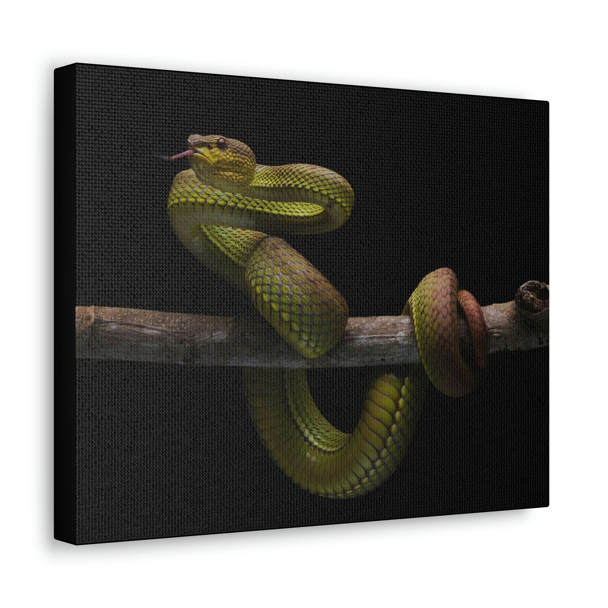 Scripture Walls Snake Hunting Snake on Hunt Print Animal Wall Art Wildlife Canvas Prints Wall Art Ready to Hang Unframed-Express Your Love Gifts