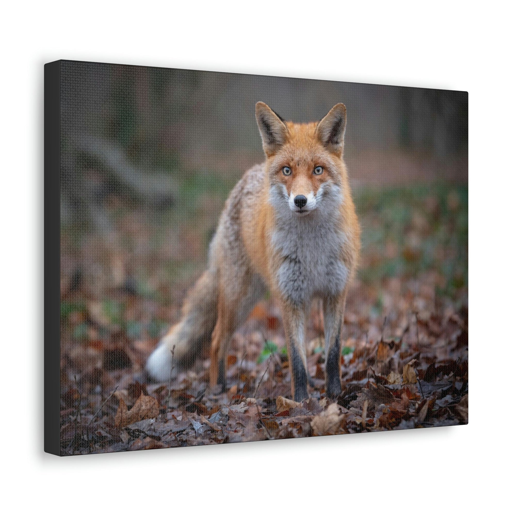 Scripture Walls Snow Fox Hunting Snow Fox on Hunt Print Animal Wall Art Wildlife Canvas Prints Wall Art Ready to Hang Unframed-Express Your Love Gifts