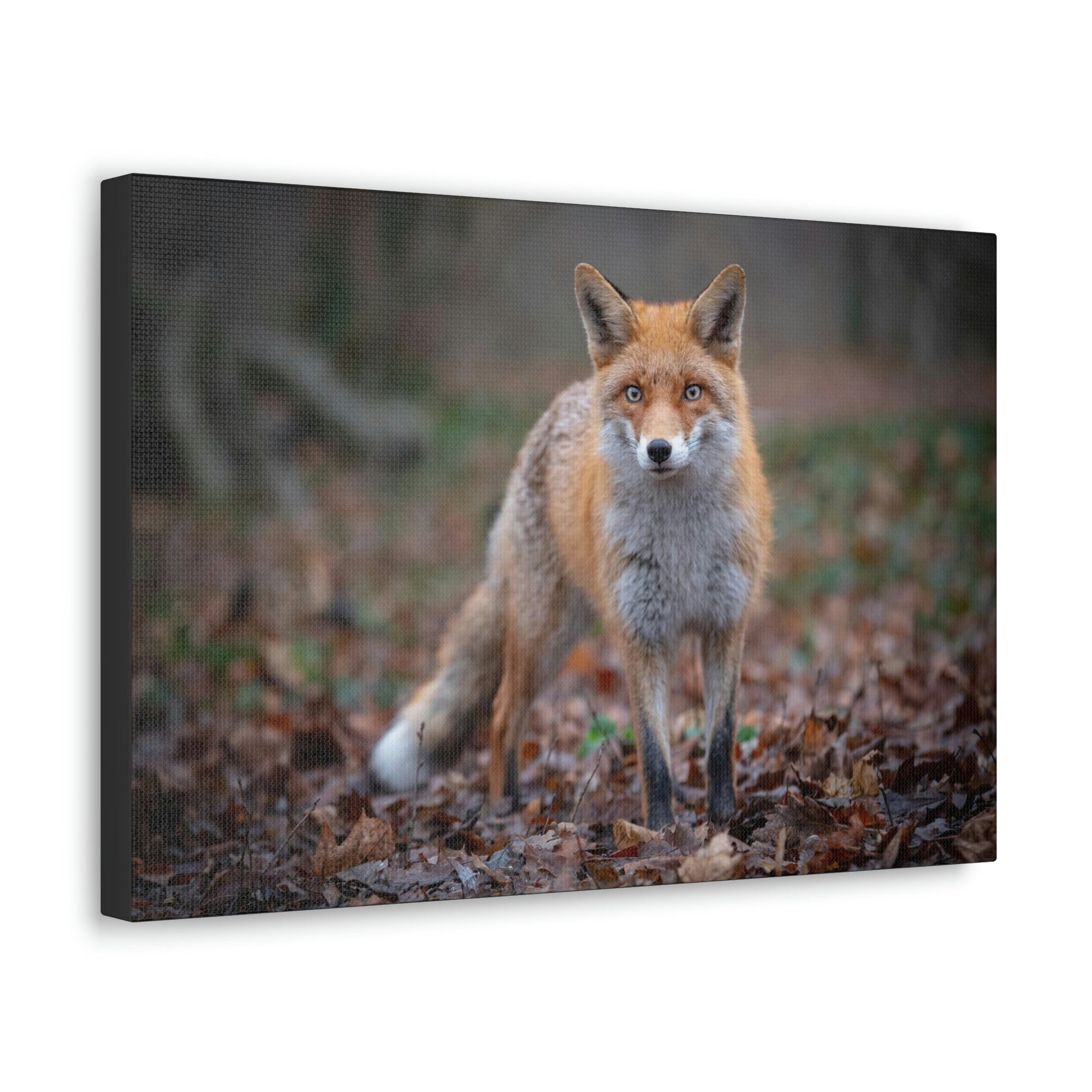 Scripture Walls Snow Fox Hunting Snow Fox on Hunt Print Animal Wall Art Wildlife Canvas Prints Wall Art Ready to Hang Unframed-Express Your Love Gifts