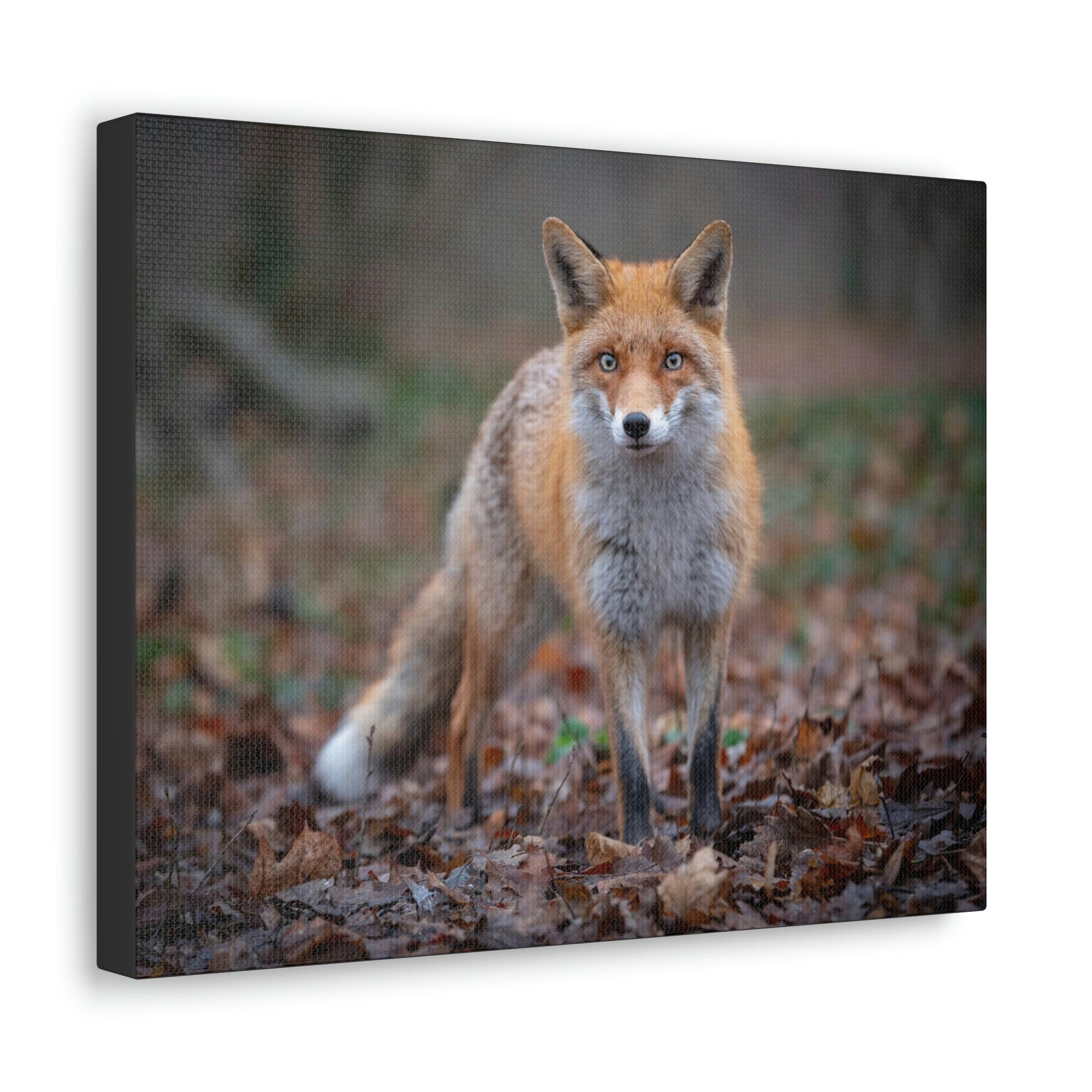 Scripture Walls Snow Fox Hunting Snow Fox on Hunt Print Animal Wall Art Wildlife Canvas Prints Wall Art Ready to Hang Unframed-Express Your Love Gifts