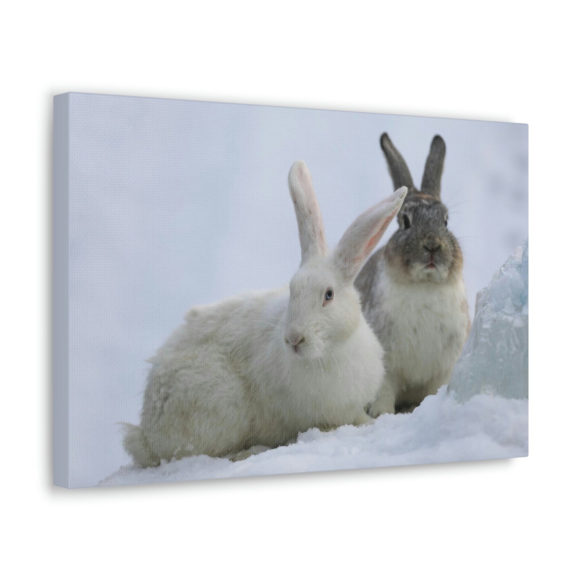 Scripture Walls Snow Hare Couple Snow Hare Couple Print Animal Wall Art Wildlife Canvas Prints Wall Art Ready to Hang Unframed-Express Your Love Gifts