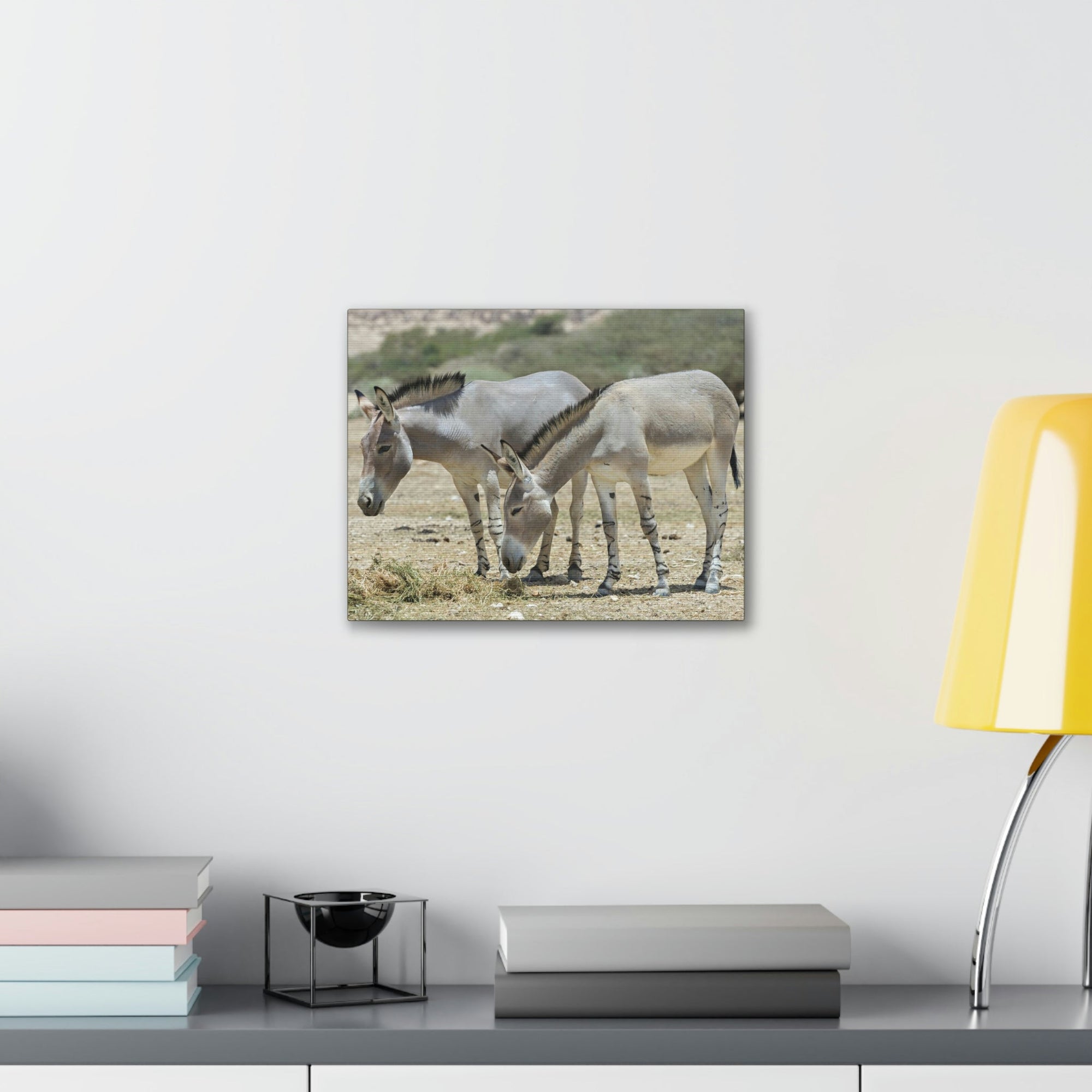 Scripture Walls Somali Wild Ass Couple Somali Wild Ass Couple Print Animal Wall Art Wildlife Canvas Prints Wall Art Ready to Hang Unframed-Express Your Love Gifts