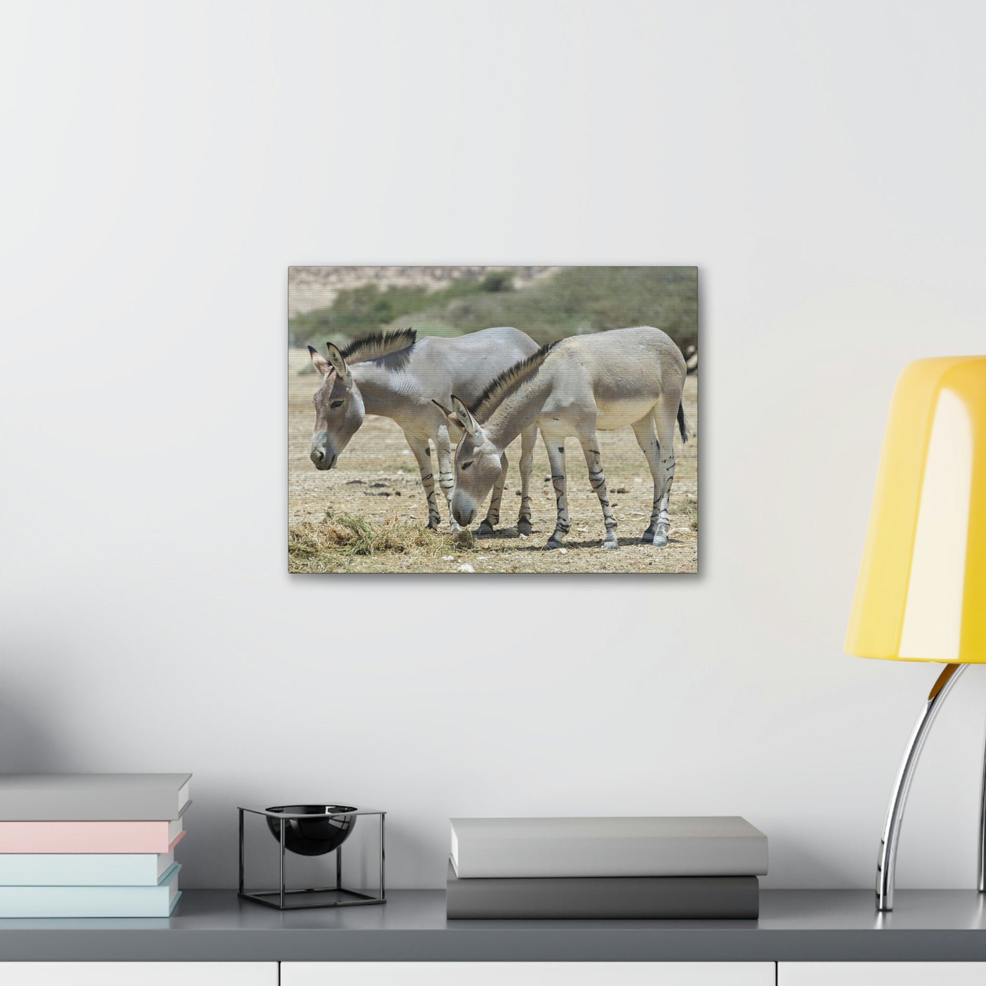 Scripture Walls Somali Wild Ass Couple Somali Wild Ass Couple Print Animal Wall Art Wildlife Canvas Prints Wall Art Ready to Hang Unframed-Express Your Love Gifts