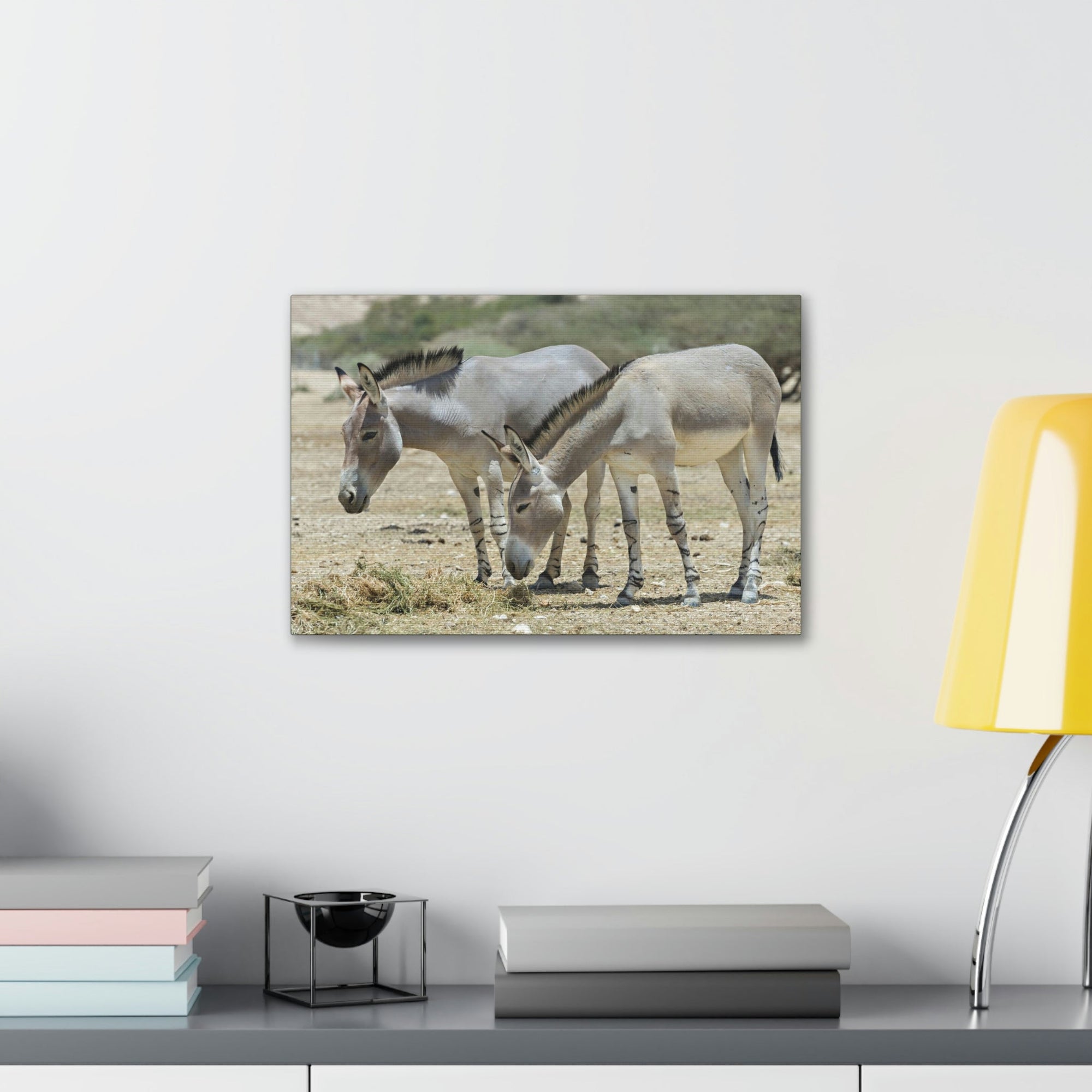 Scripture Walls Somali Wild Ass Couple Somali Wild Ass Couple Print Animal Wall Art Wildlife Canvas Prints Wall Art Ready to Hang Unframed-Express Your Love Gifts