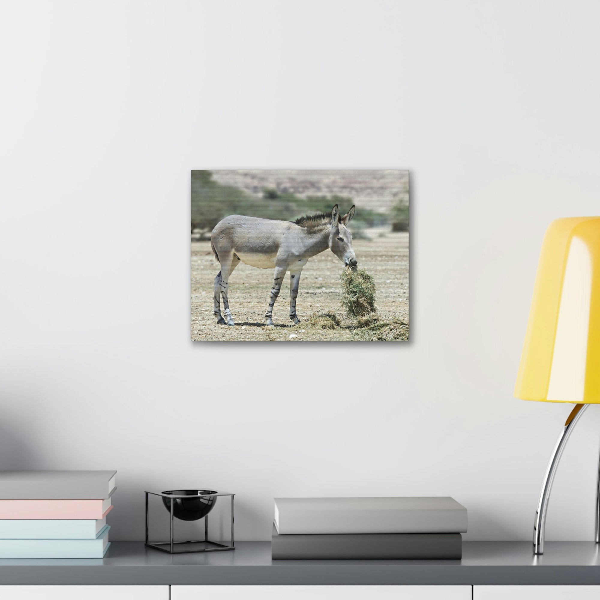 Scripture Walls Somali Wild Ass Hunting Somali Wild Ass on Hunt Print Animal Wall Art Wildlife Canvas Prints Wall Art Ready to Hang Unframed-Express Your Love Gifts