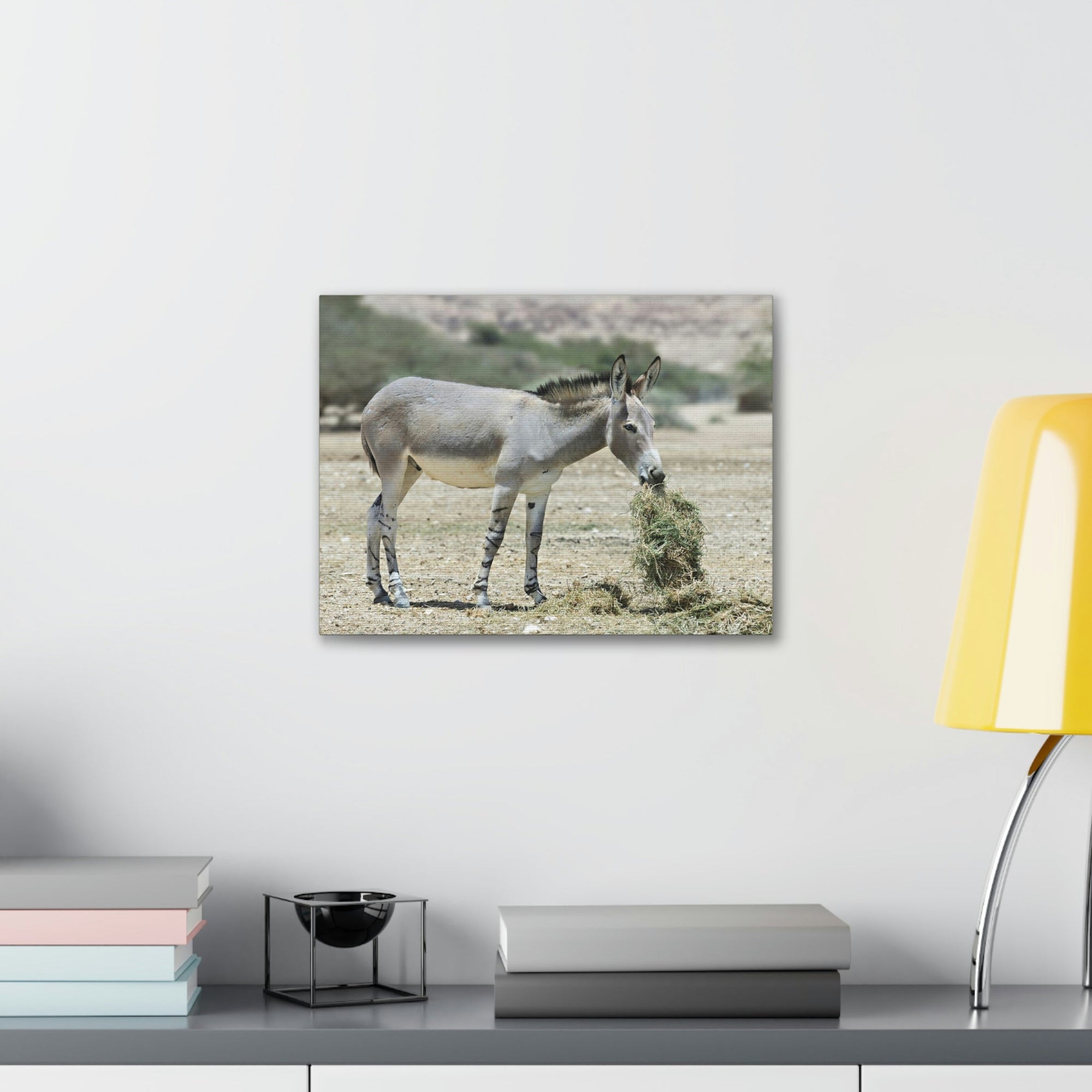 Scripture Walls Somali Wild Ass Hunting Somali Wild Ass on Hunt Print Animal Wall Art Wildlife Canvas Prints Wall Art Ready to Hang Unframed-Express Your Love Gifts