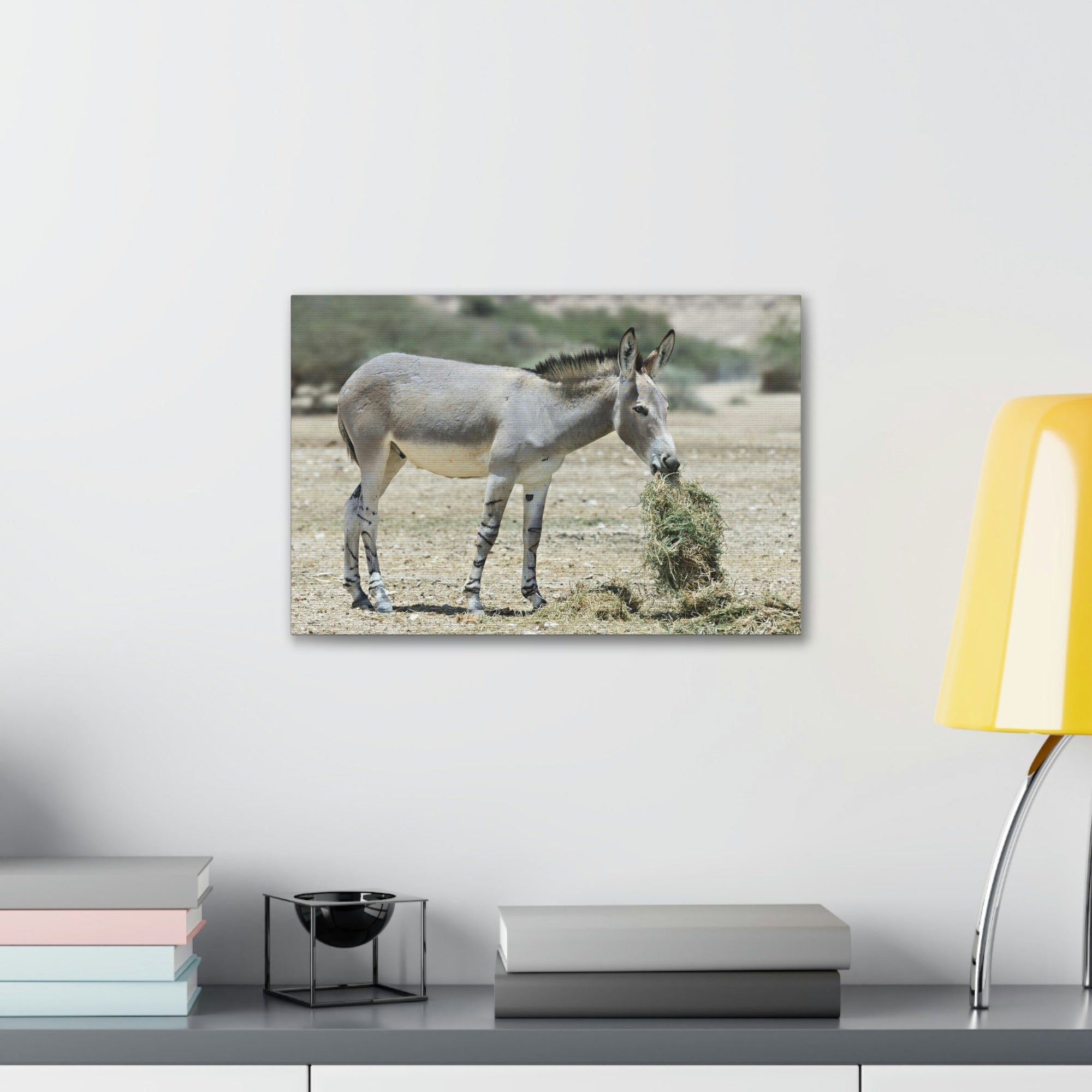 Scripture Walls Somali Wild Ass Hunting Somali Wild Ass on Hunt Print Animal Wall Art Wildlife Canvas Prints Wall Art Ready to Hang Unframed-Express Your Love Gifts