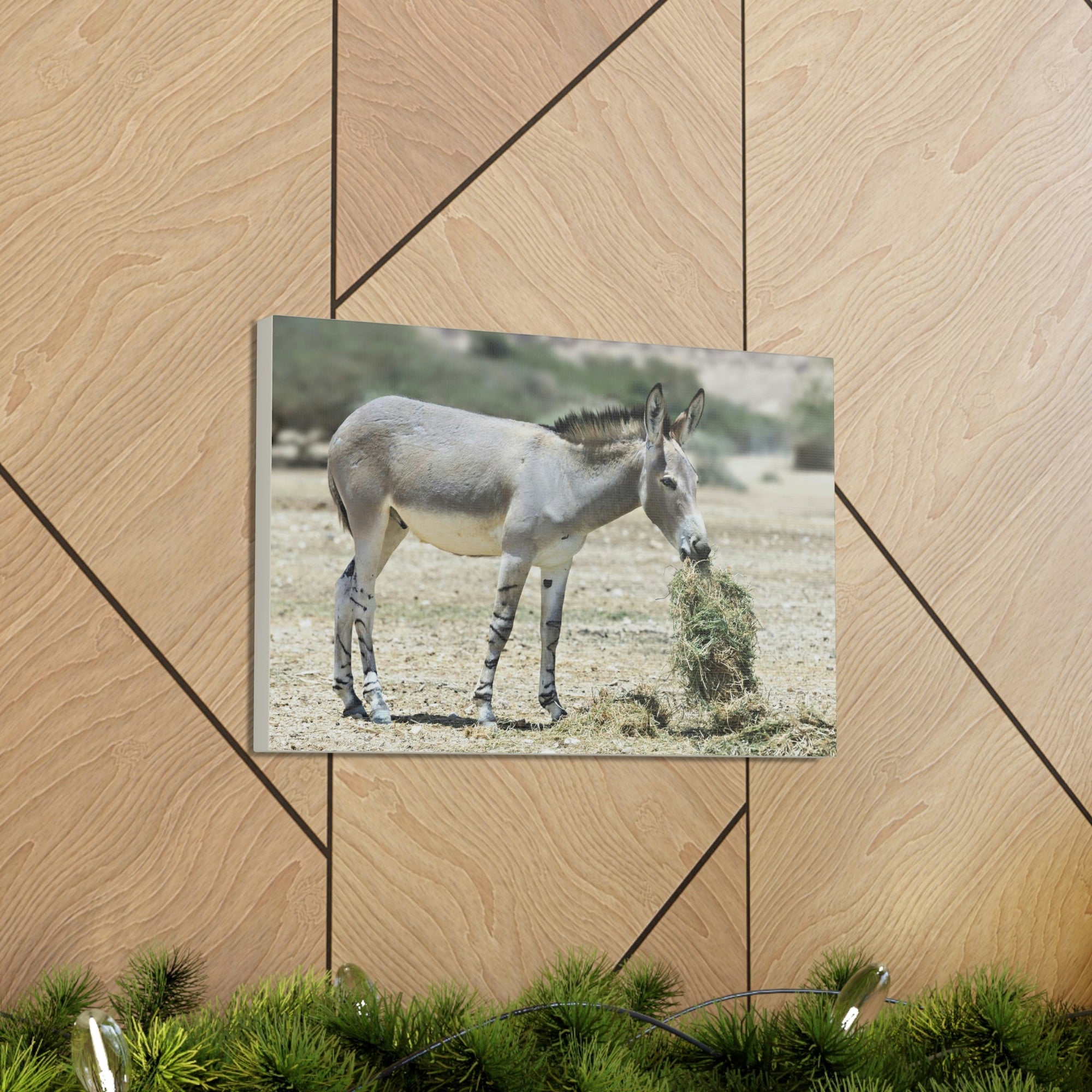 Scripture Walls Somali Wild Ass Hunting Somali Wild Ass on Hunt Print Animal Wall Art Wildlife Canvas Prints Wall Art Ready to Hang Unframed-Express Your Love Gifts