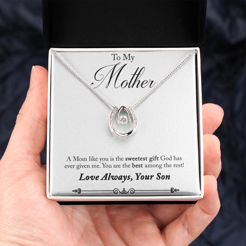 Son to Mother Sweetest Gift Lucky Horseshoe Necklace Message Card 14k w CZ Crystals-Express Your Love Gifts