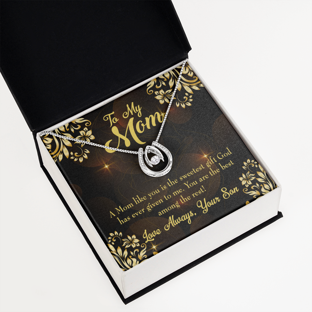 Son to Mother Sweetest Gift Lucky Horseshoe Necklace Message Card 14k w CZ Crystals-Express Your Love Gifts