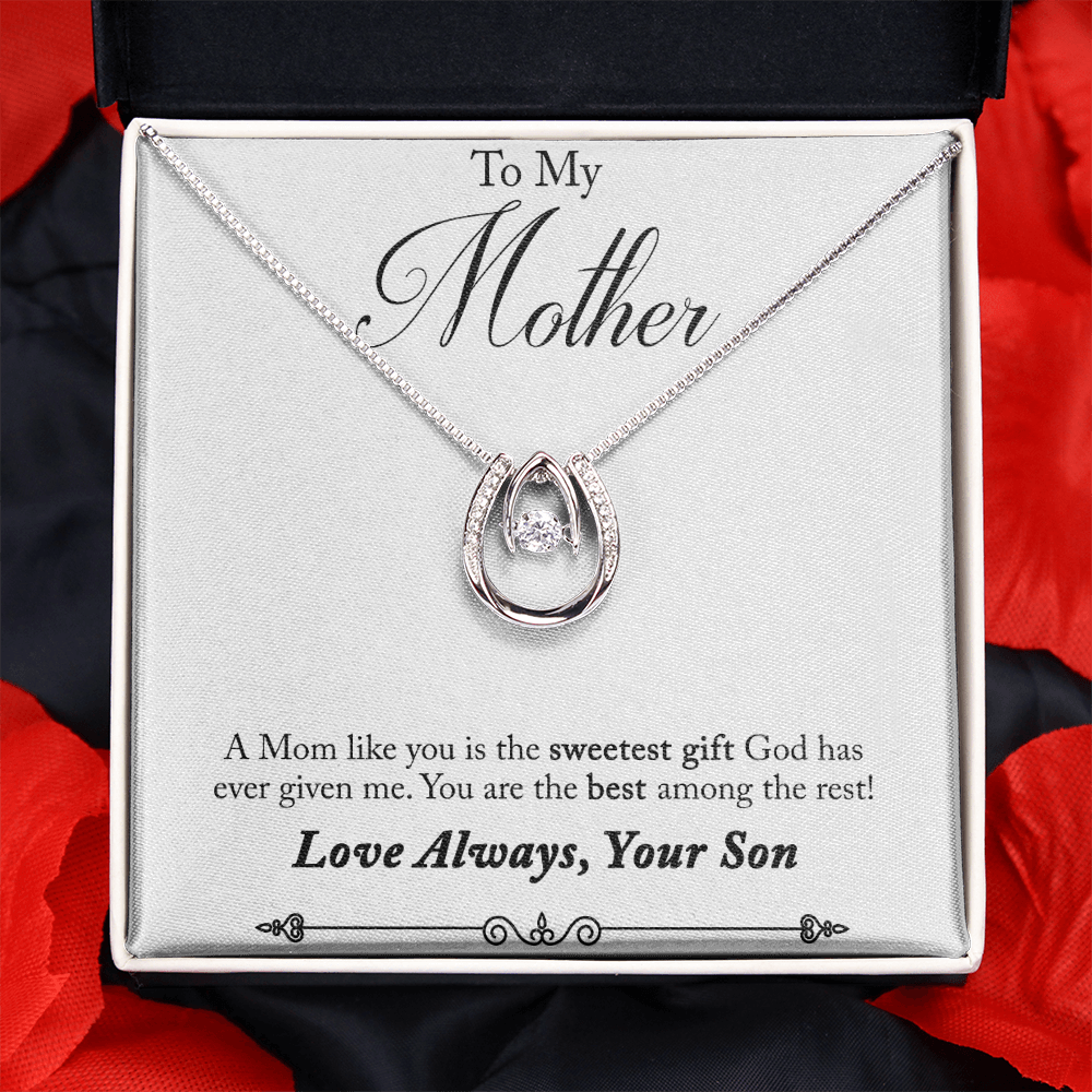 Son to Mother Sweetest Gift Lucky Horseshoe Necklace Message Card 14k w CZ Crystals-Express Your Love Gifts