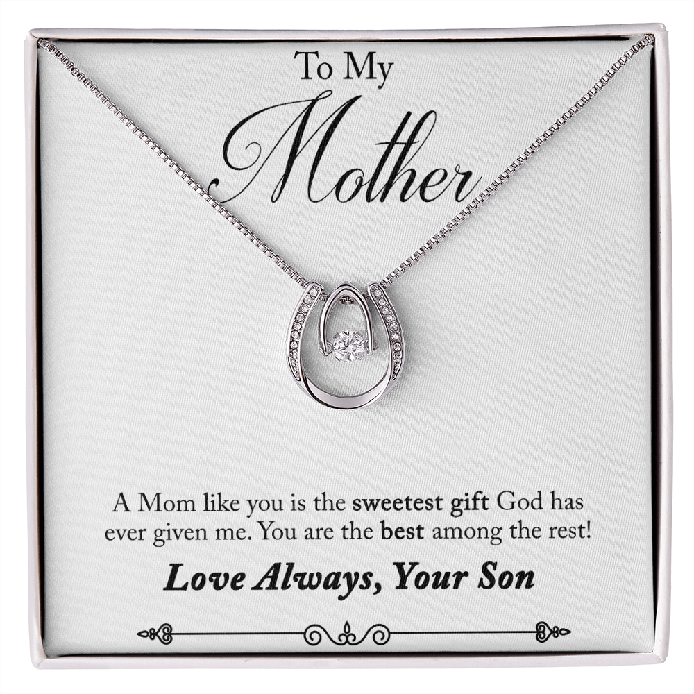 Son to Mother Sweetest Gift Lucky Horseshoe Necklace Message Card 14k w CZ Crystals-Express Your Love Gifts