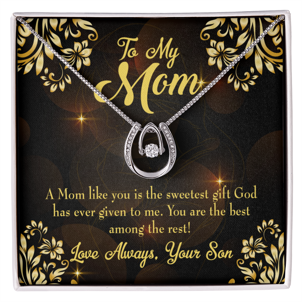 Son to Mother Sweetest Gift Lucky Horseshoe Necklace Message Card 14k w CZ Crystals-Express Your Love Gifts