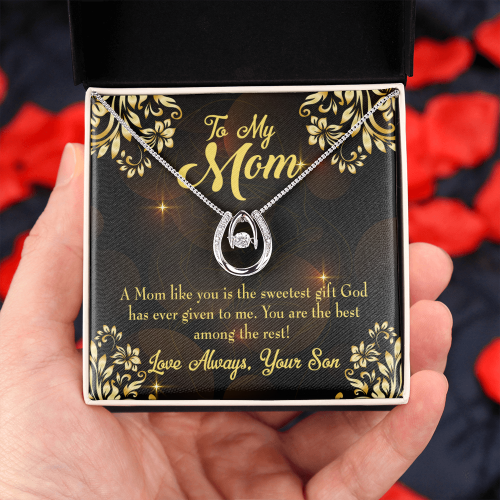 Son to Mother Sweetest Gift Lucky Horseshoe Necklace Message Card 14k w CZ Crystals-Express Your Love Gifts