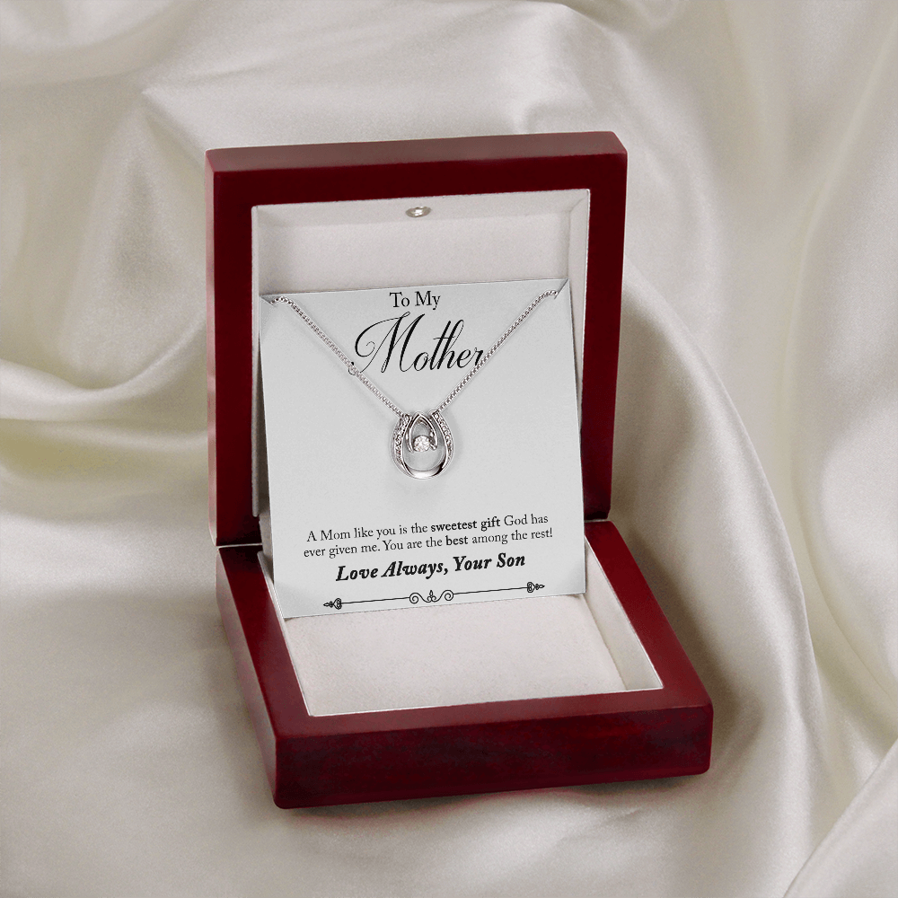 Son to Mother Sweetest Gift Lucky Horseshoe Necklace Message Card 14k w CZ Crystals-Express Your Love Gifts