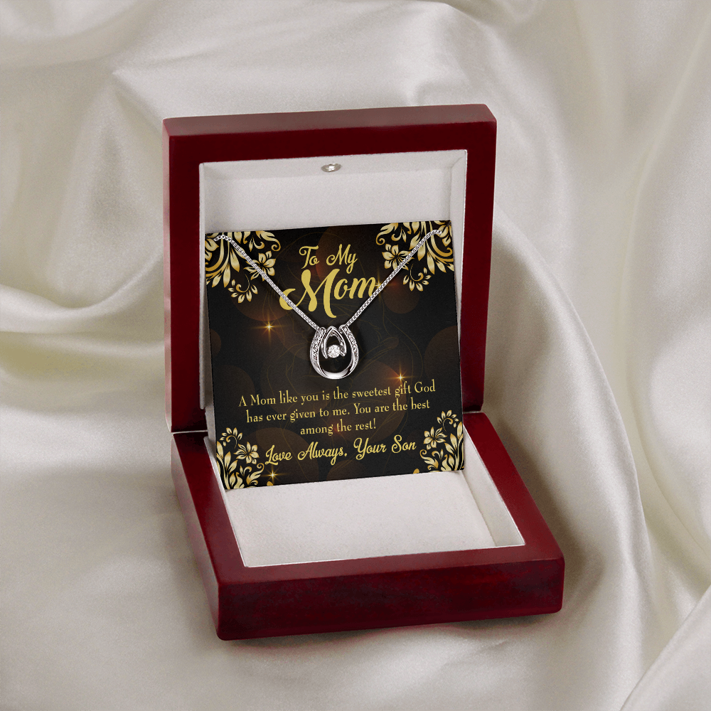 Son to Mother Sweetest Gift Lucky Horseshoe Necklace Message Card 14k w CZ Crystals-Express Your Love Gifts