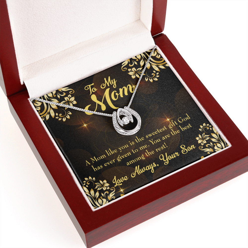 Son to Mother Sweetest Gift Lucky Horseshoe Necklace Message Card 14k w CZ Crystals-Express Your Love Gifts