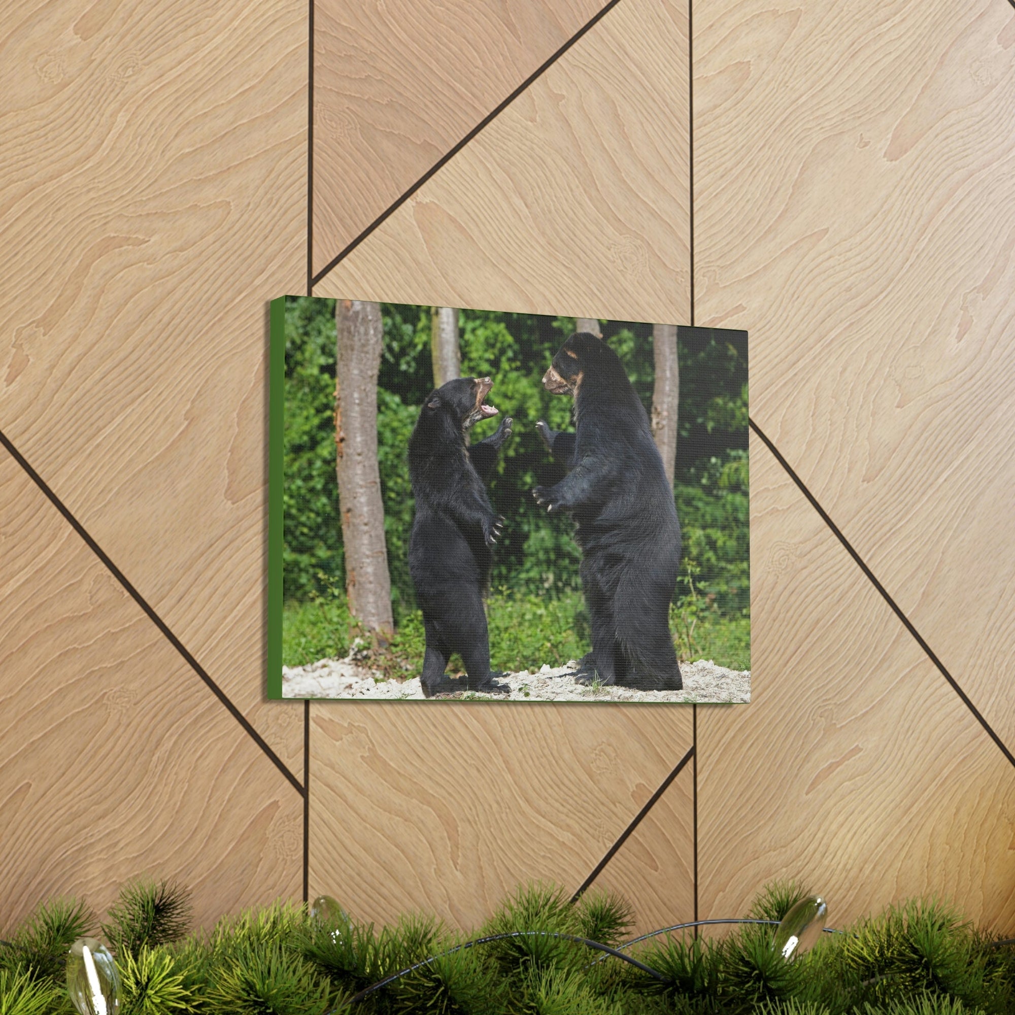 Scripture Walls Spectacled Bear Couple Spectacled Bear Couple Print Animal Wall Art Wildlife Canvas Prints Wall Art Ready to Hang Unframed-Express Your Love Gifts