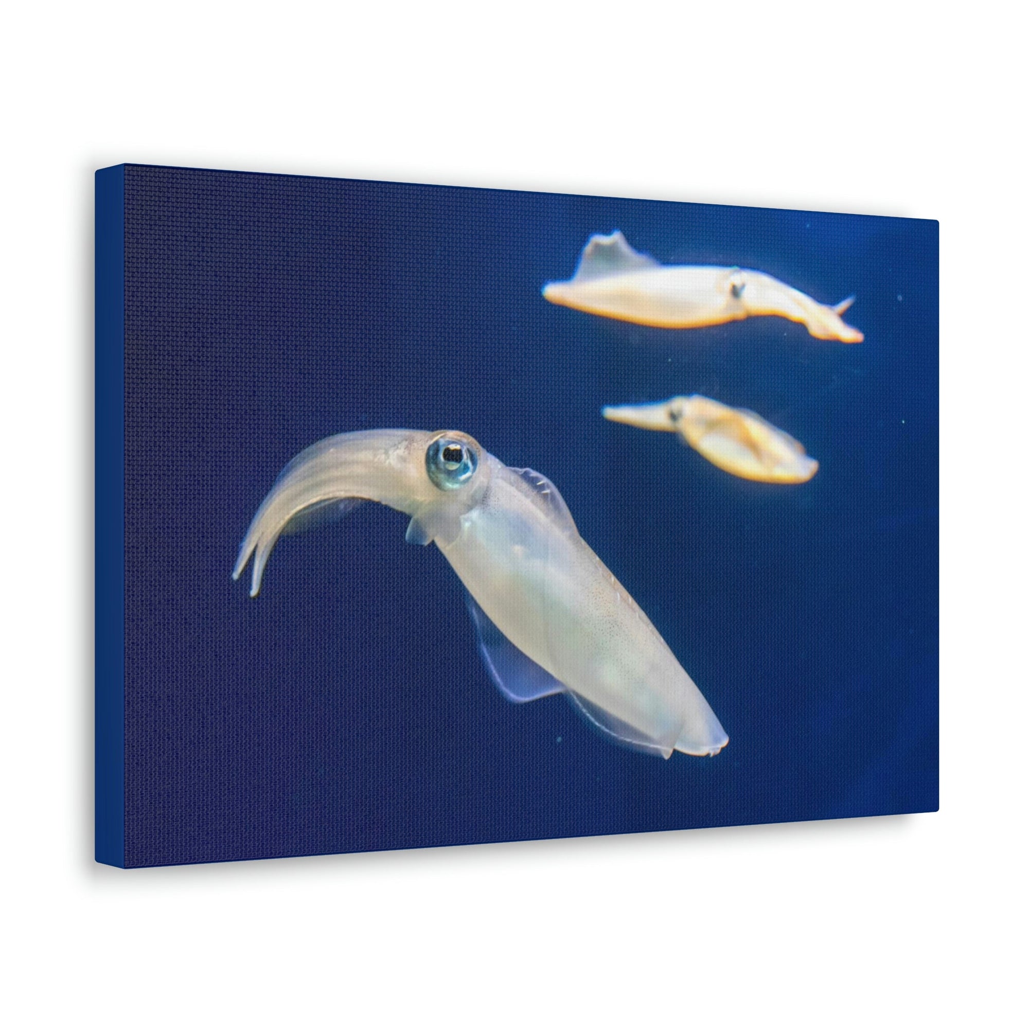 Scripture Walls Squid Group Squid Troop Print Animal Wall Art Wildlife Canvas Prints Wall Art Ready to Hang Unframed-Express Your Love Gifts