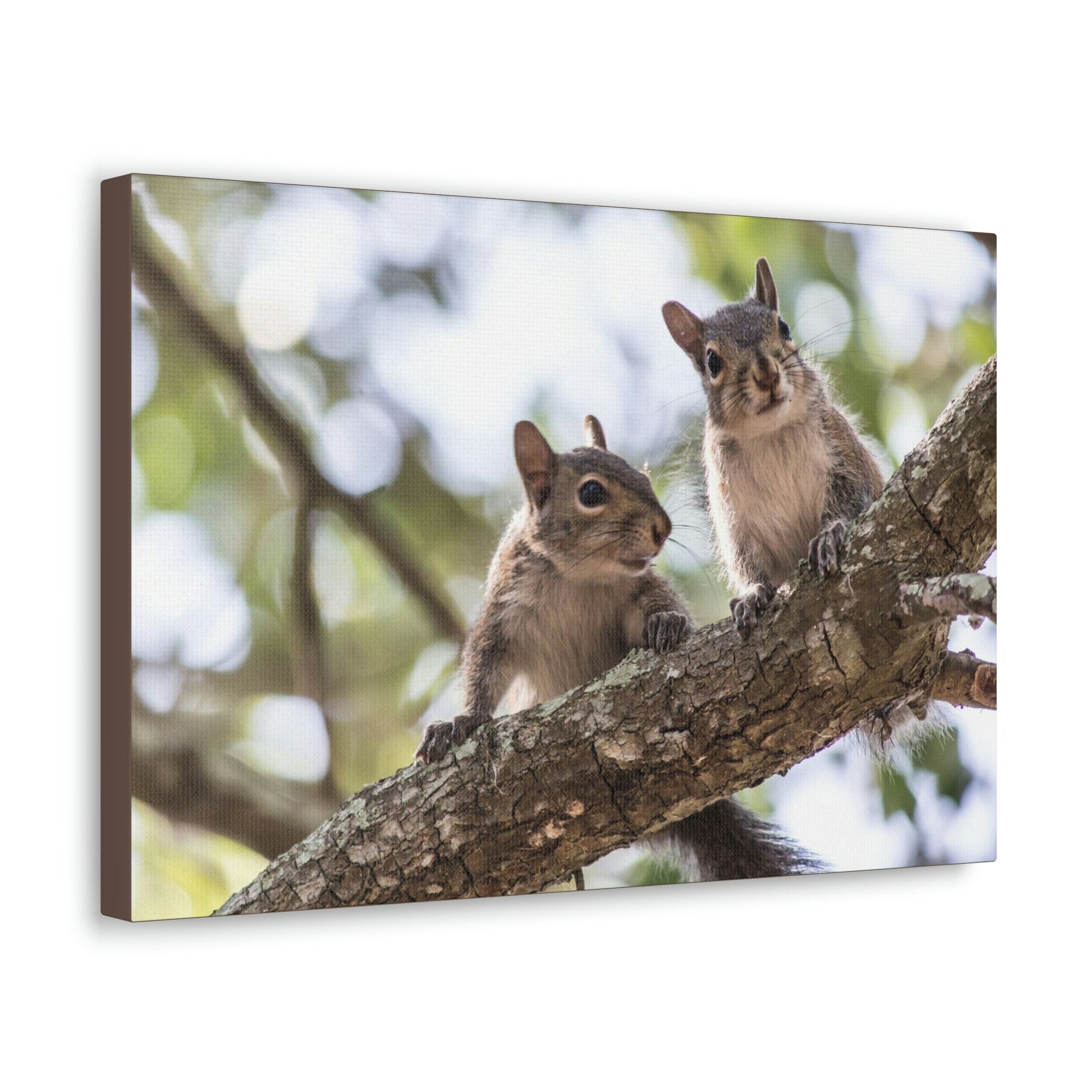 Scripture Walls Squirrel Couple Squirrel Couple Print Animal Wall Art Wildlife Canvas Prints Wall Art Ready to Hang Unframed-Express Your Love Gifts