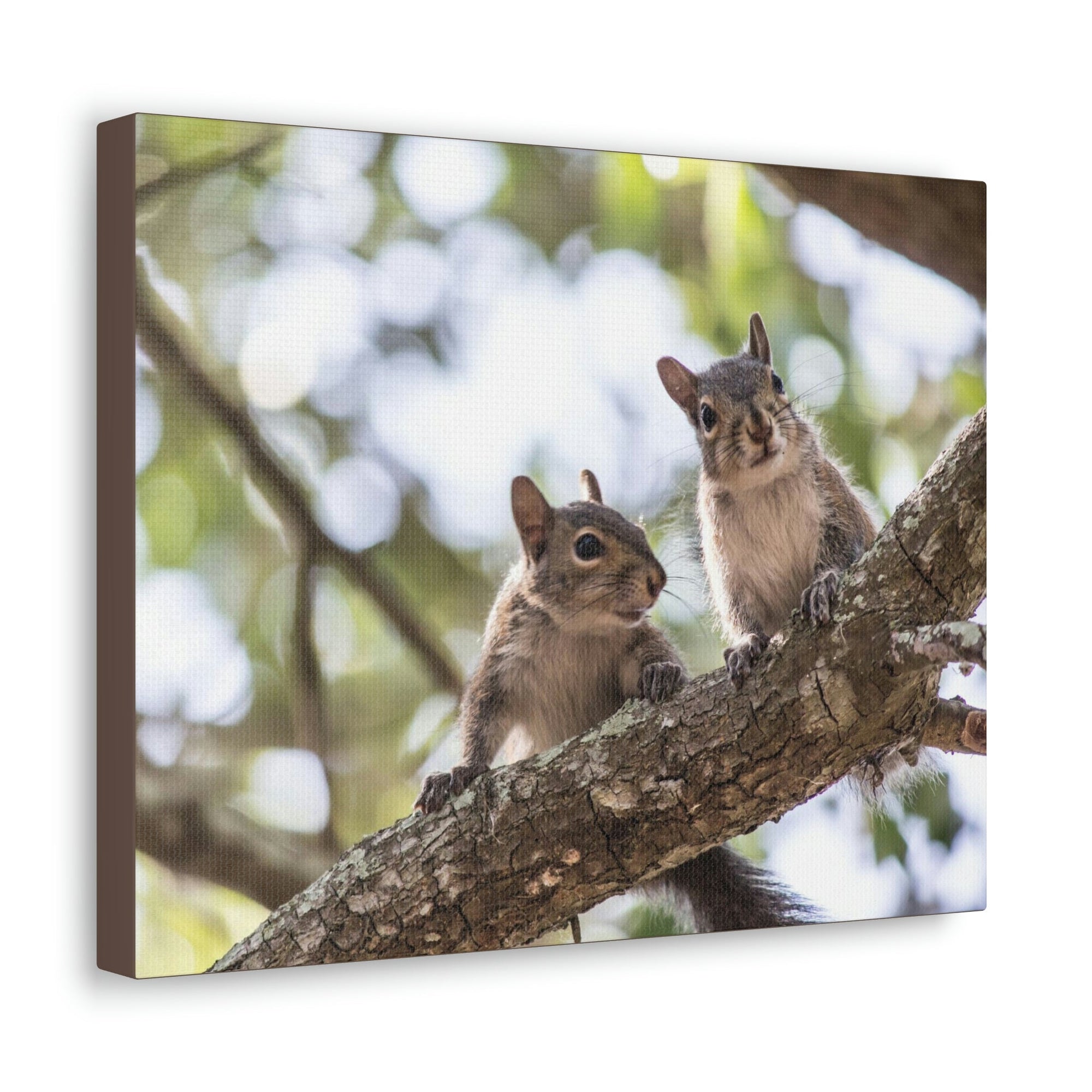 Scripture Walls Squirrel Couple Squirrel Couple Print Animal Wall Art Wildlife Canvas Prints Wall Art Ready to Hang Unframed-Express Your Love Gifts