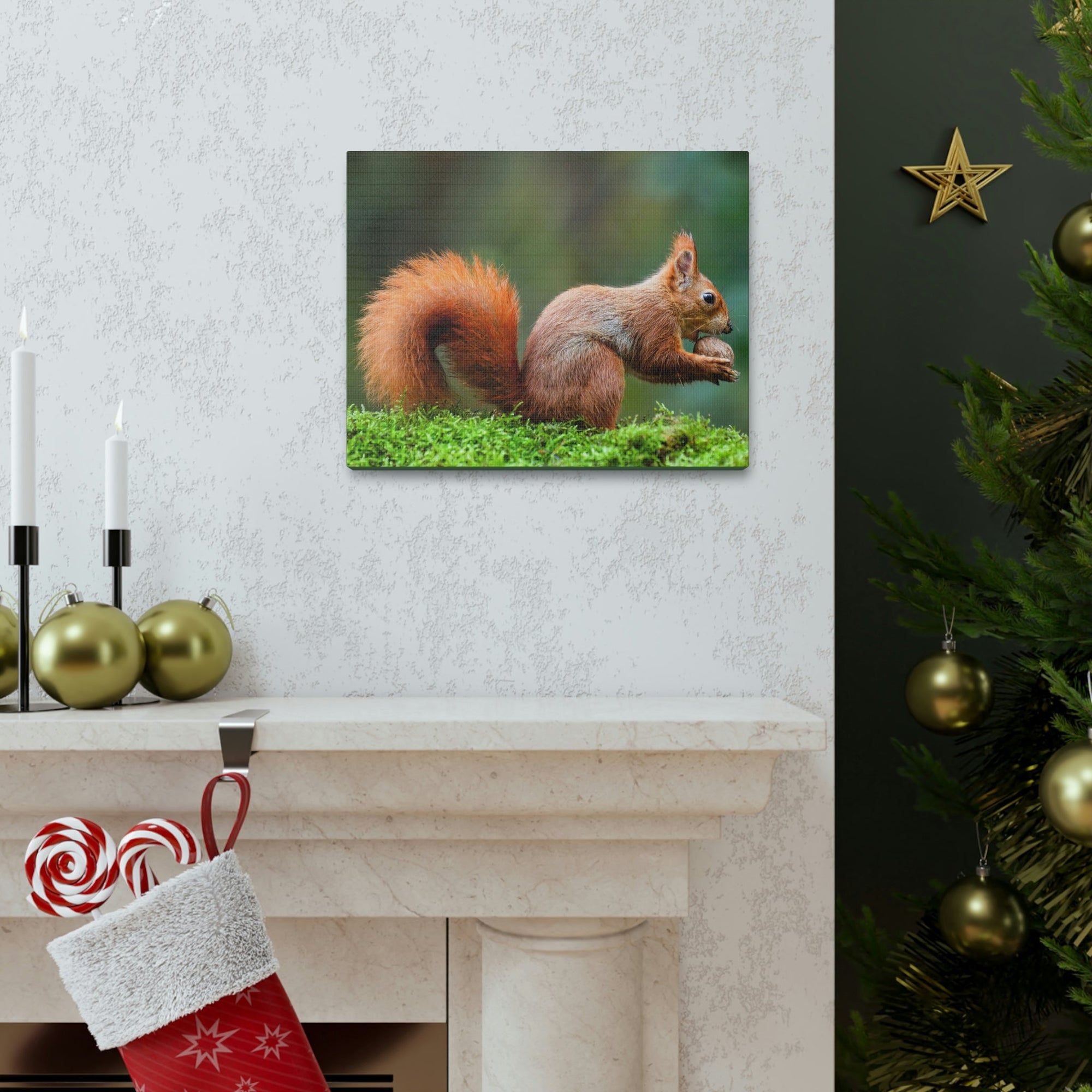 Scripture Walls Squirrel Hunting Squirrel on Hunt Print Animal Wall Art Wildlife Canvas Prints Wall Art Ready to Hang Unframed-Express Your Love Gifts