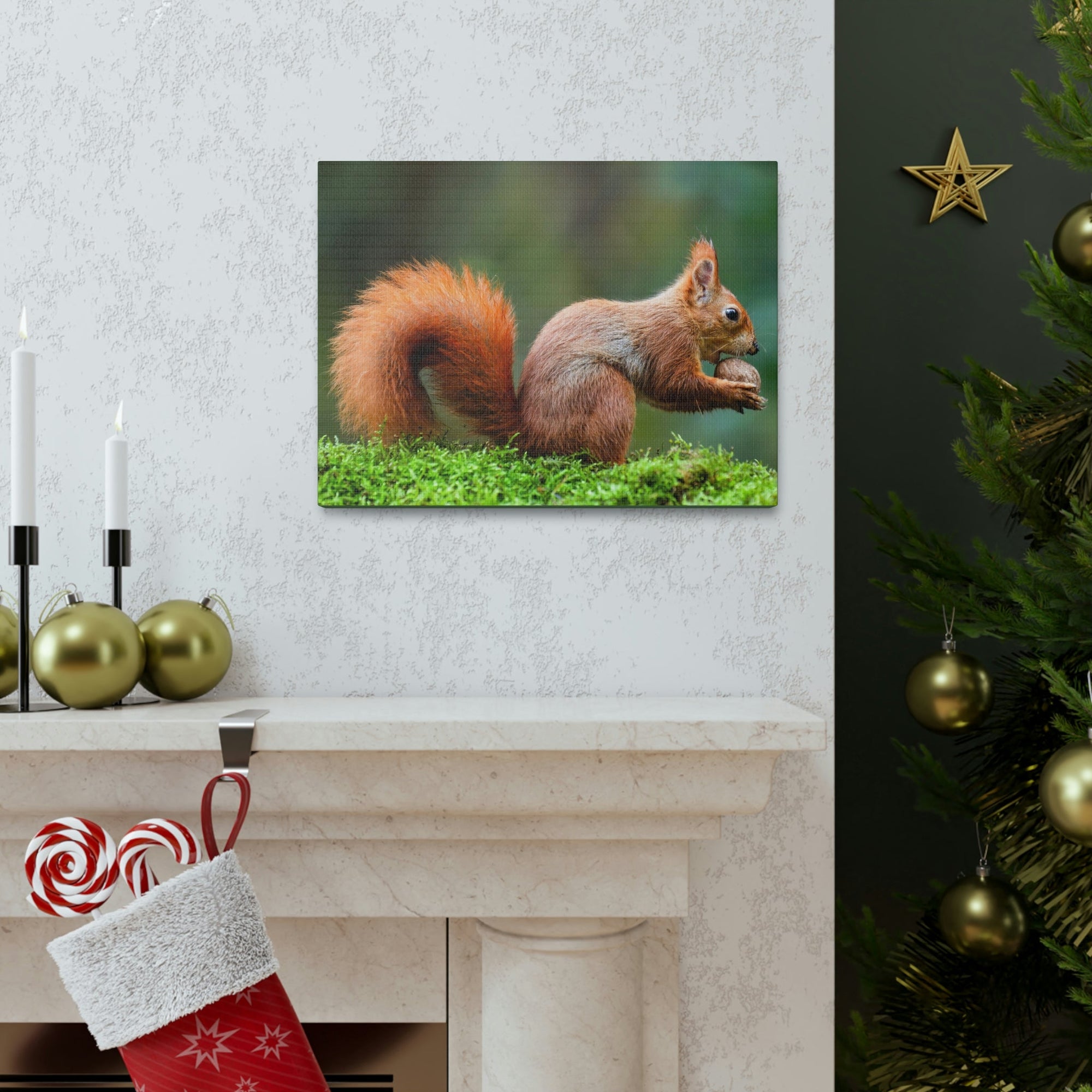 Scripture Walls Squirrel Hunting Squirrel on Hunt Print Animal Wall Art Wildlife Canvas Prints Wall Art Ready to Hang Unframed-Express Your Love Gifts