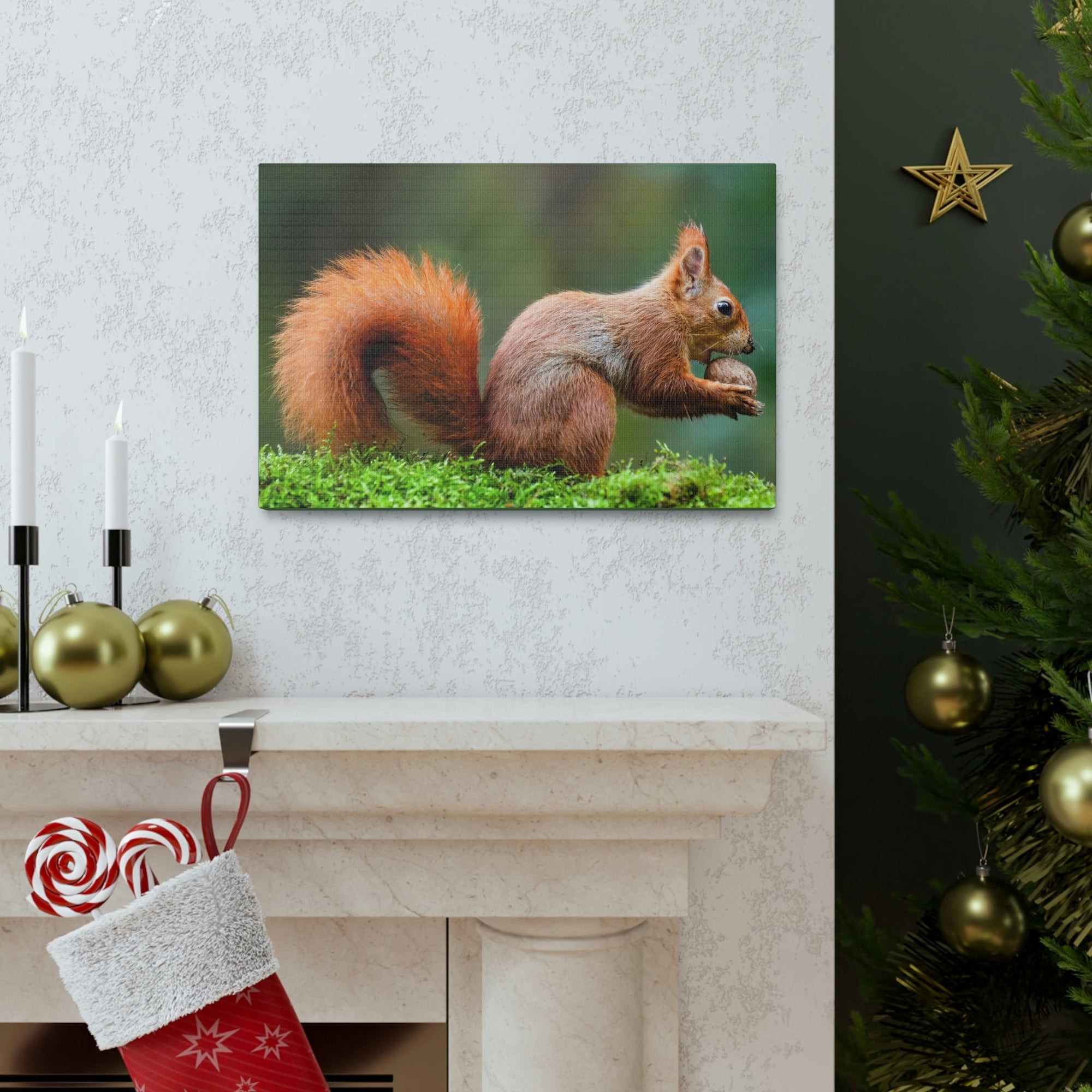 Scripture Walls Squirrel Hunting Squirrel on Hunt Print Animal Wall Art Wildlife Canvas Prints Wall Art Ready to Hang Unframed-Express Your Love Gifts